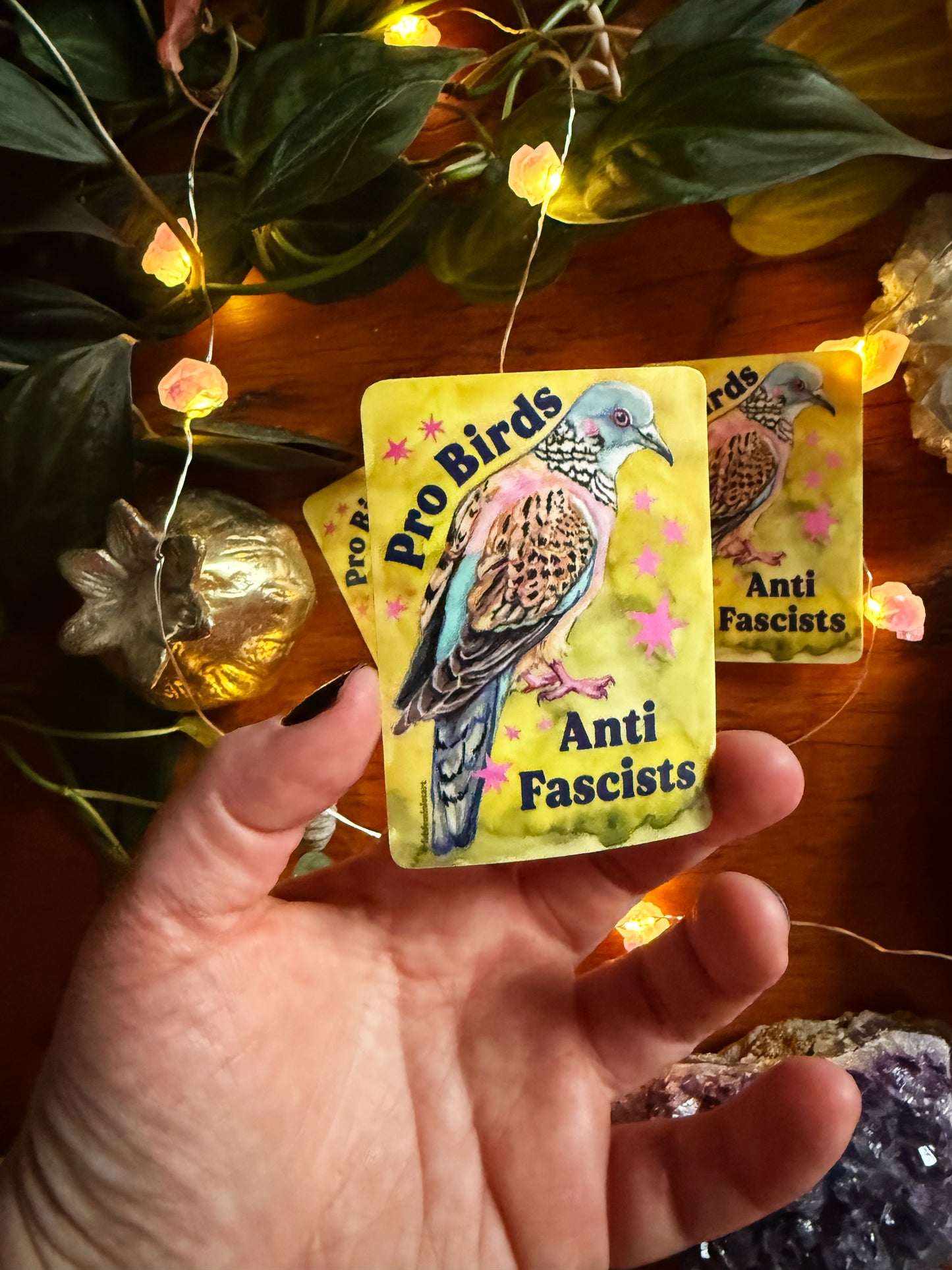 Pro Birds Anti Fascists: feminist sticker