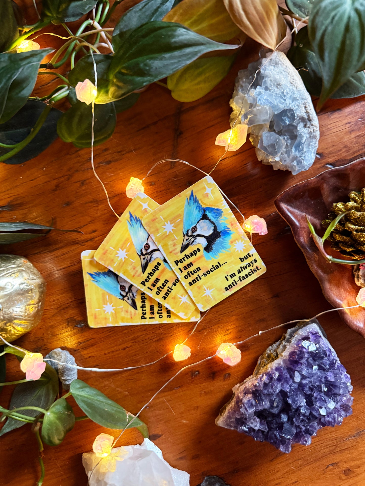 Perhaps I am often anti-social... but I'm *always* anti-fascist: feminist sticker