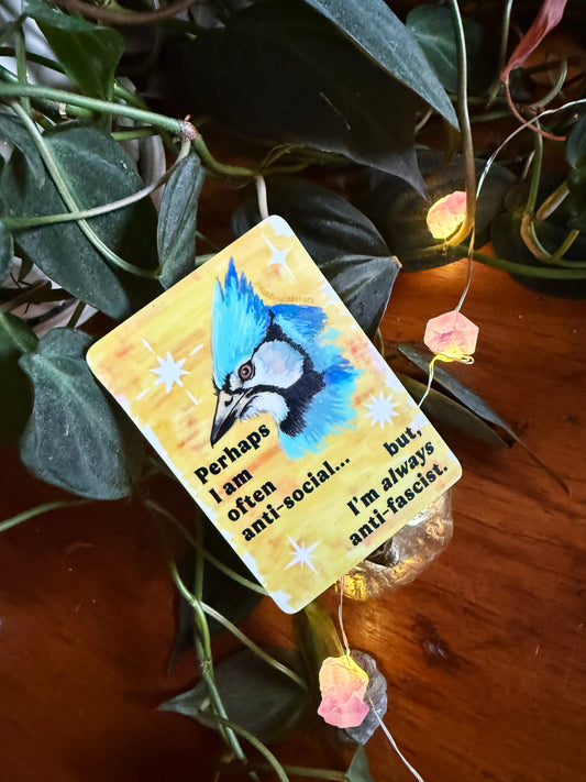 Perhaps I am often anti-social... but I'm *always* anti-fascist: feminist sticker