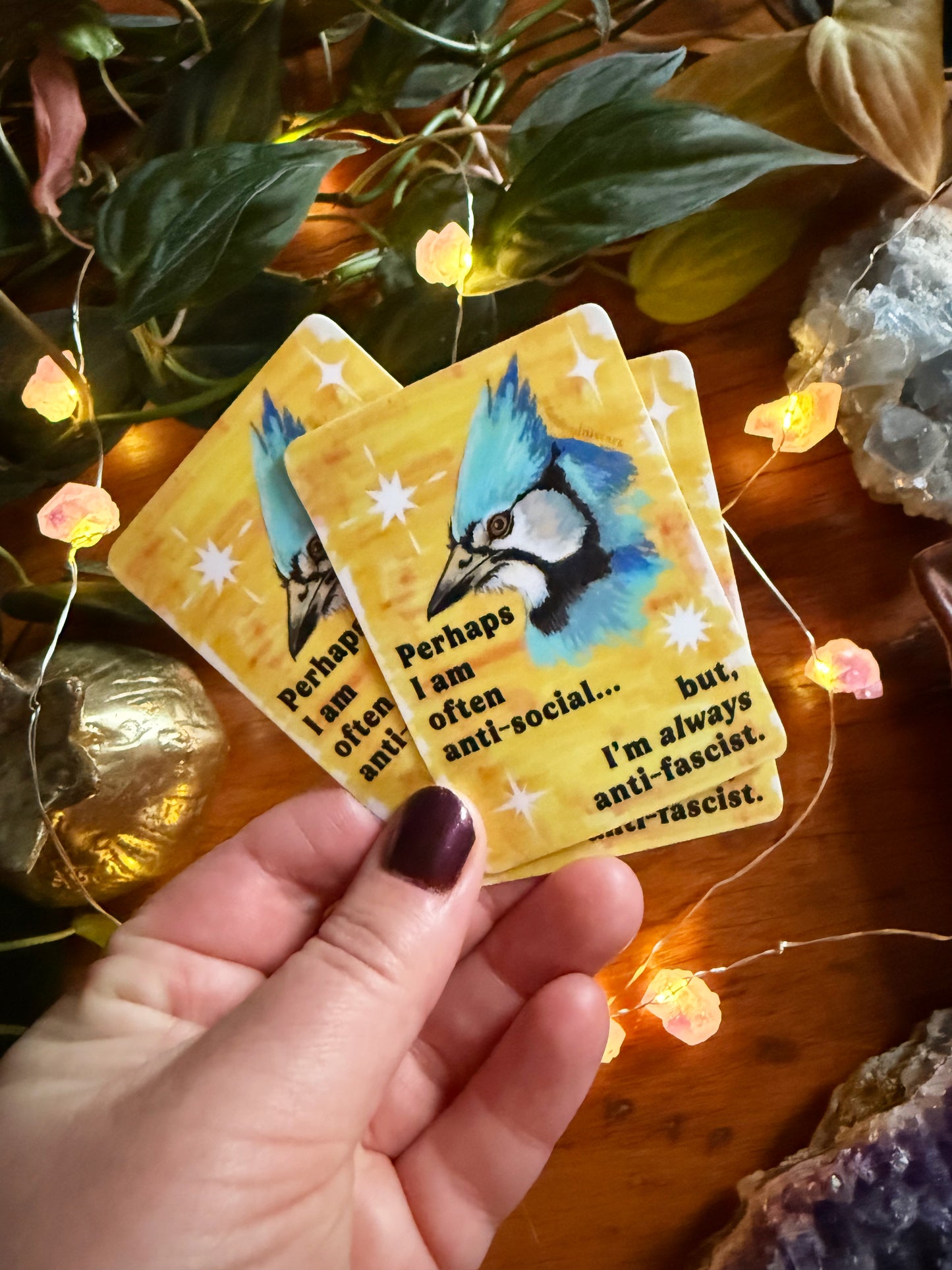 Perhaps I am often anti-social... but I'm *always* anti-fascist: feminist sticker