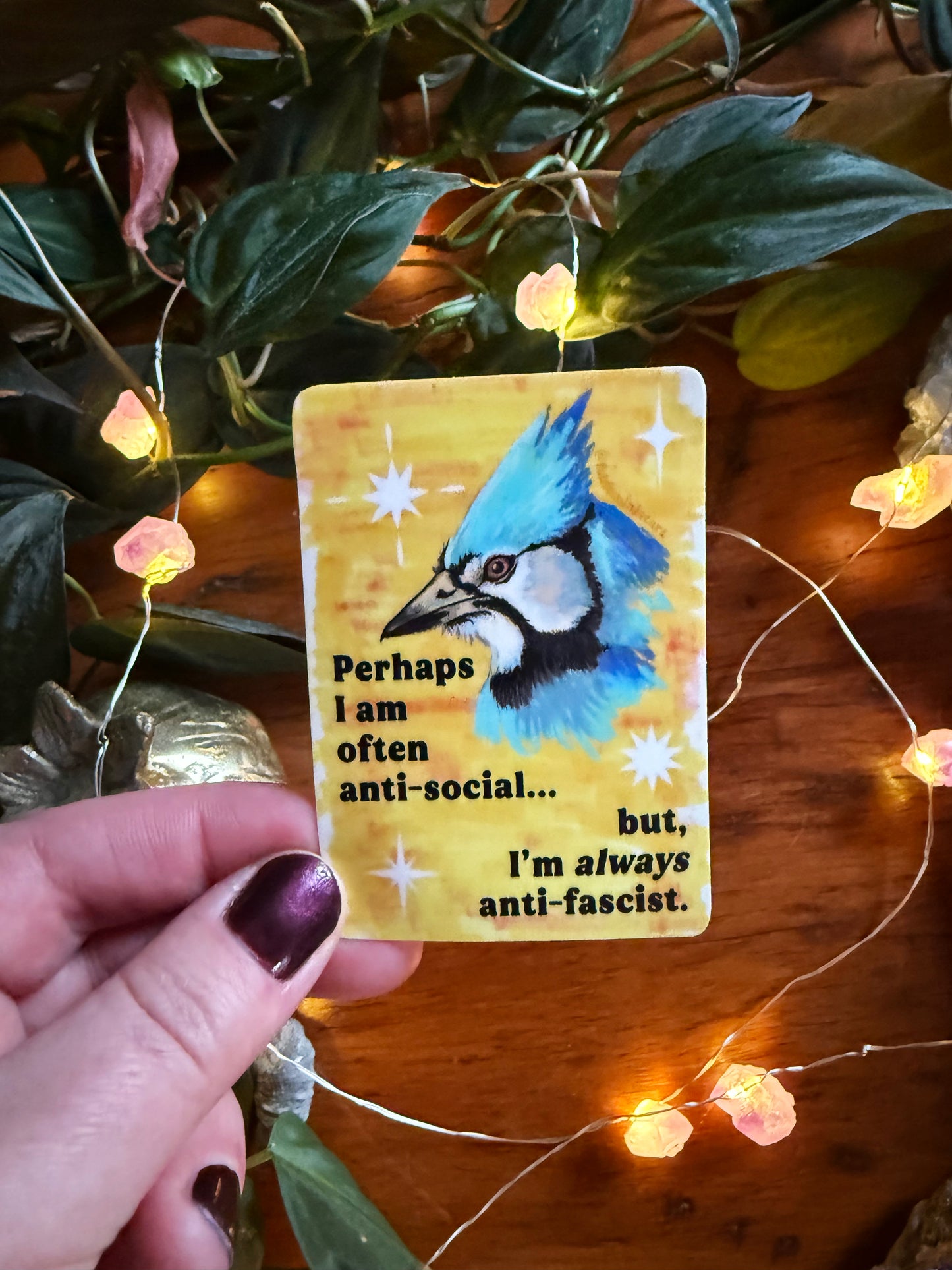 Perhaps I am often anti-social... but I'm *always* anti-fascist: feminist sticker