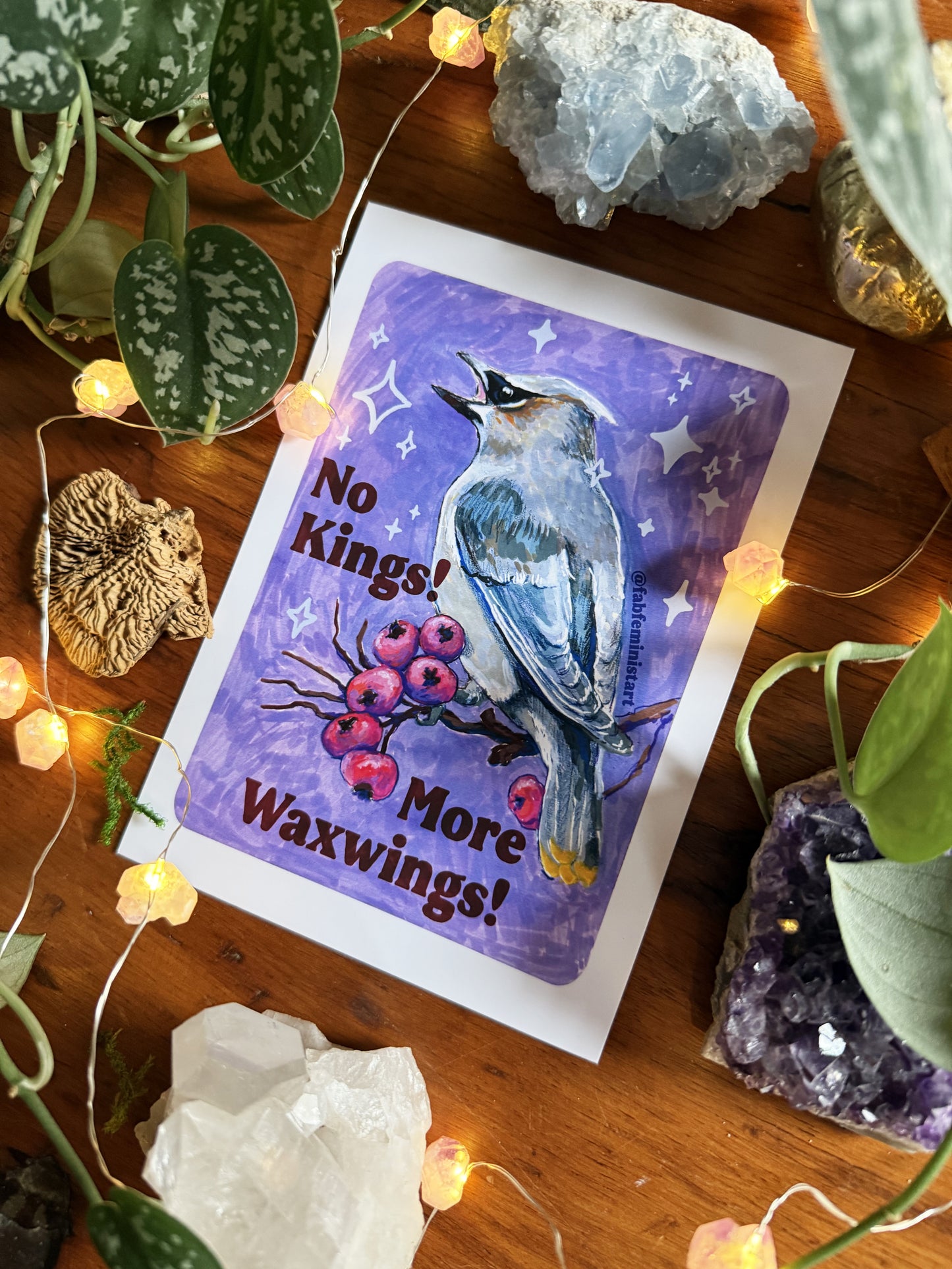 No Kings! More Waxwings: Feminist art print
