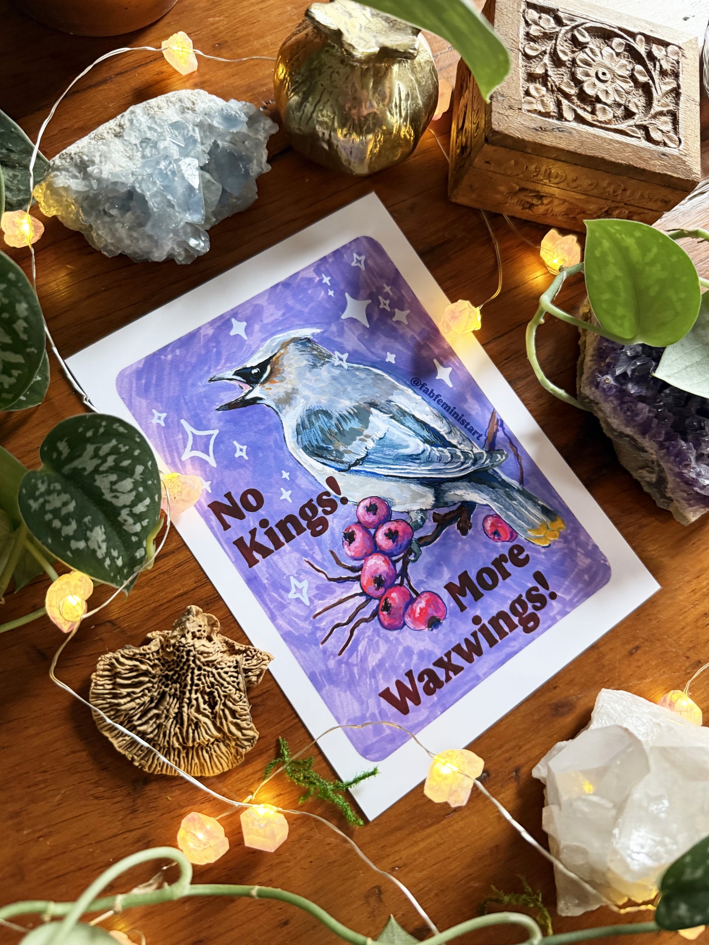 No Kings! More Waxwings: Feminist art print