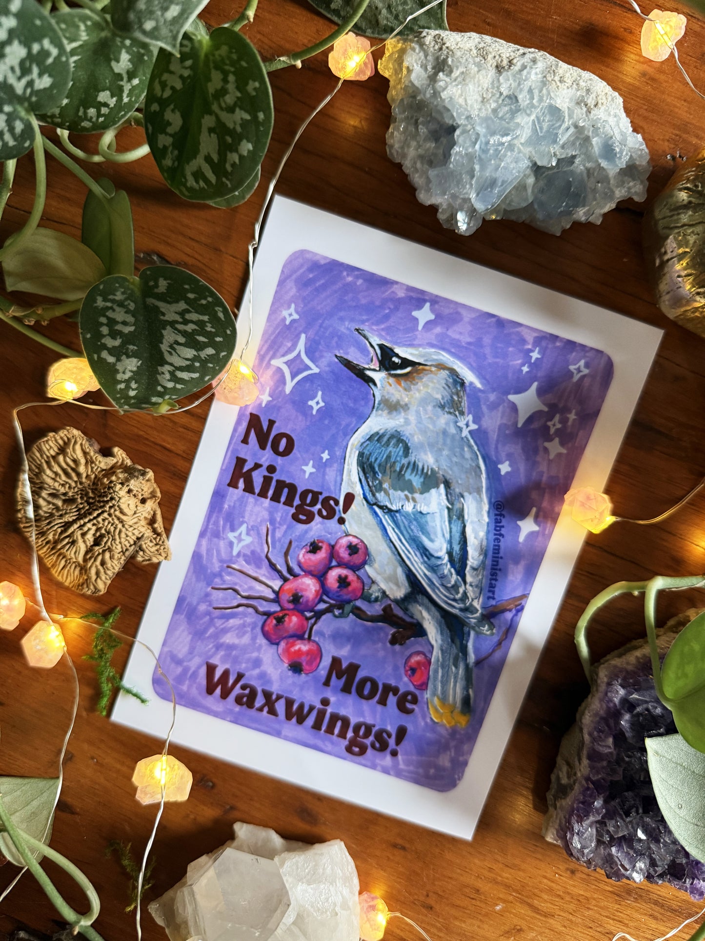 No Kings! More Waxwings: Feminist art print