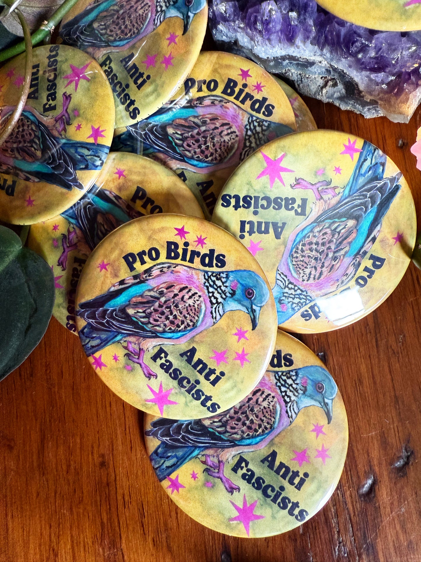 Pro Birds Anti Fascism: Feminist Pinback Button