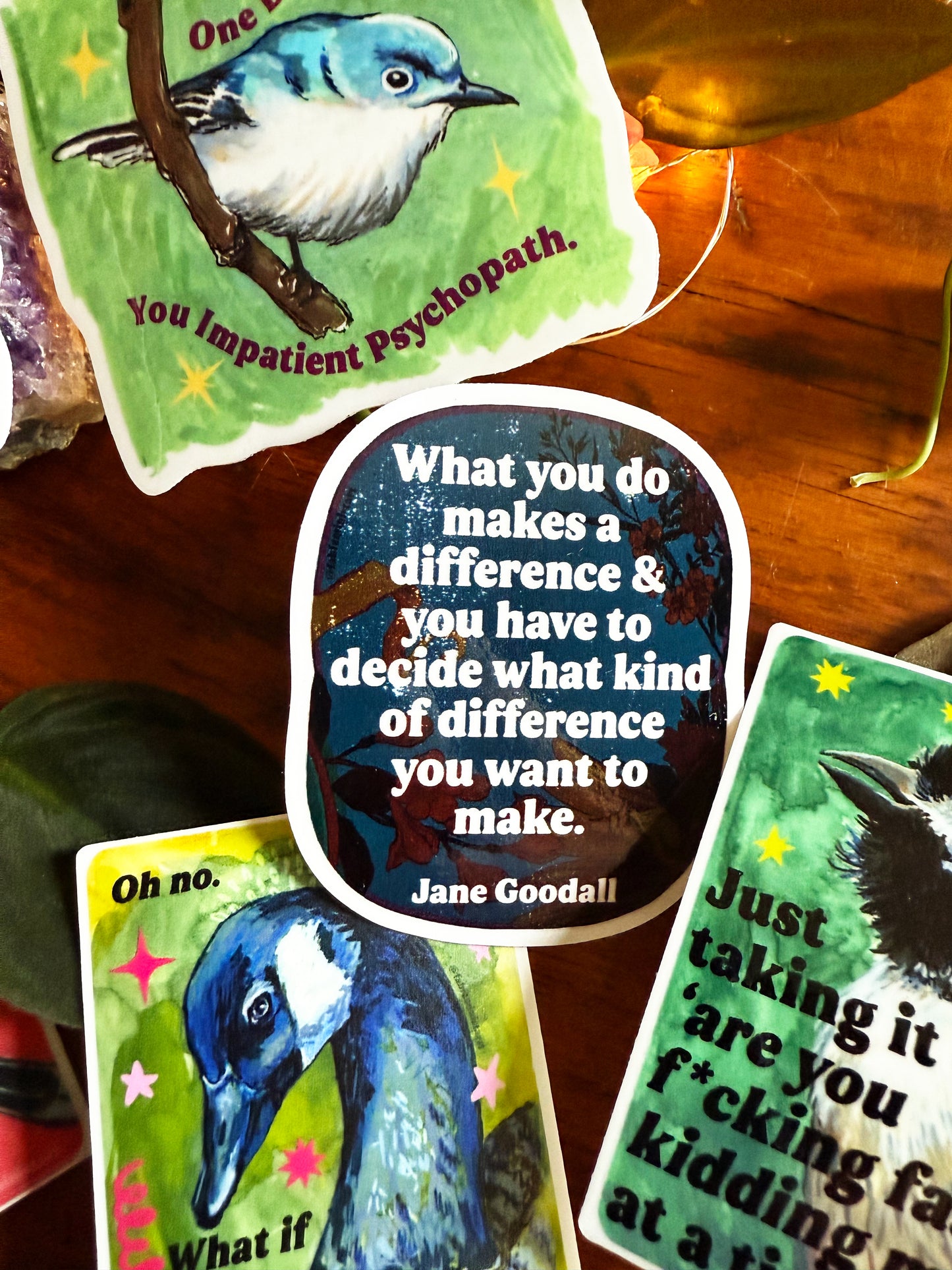 What you do makes a difference: Jane Goodall Sticker