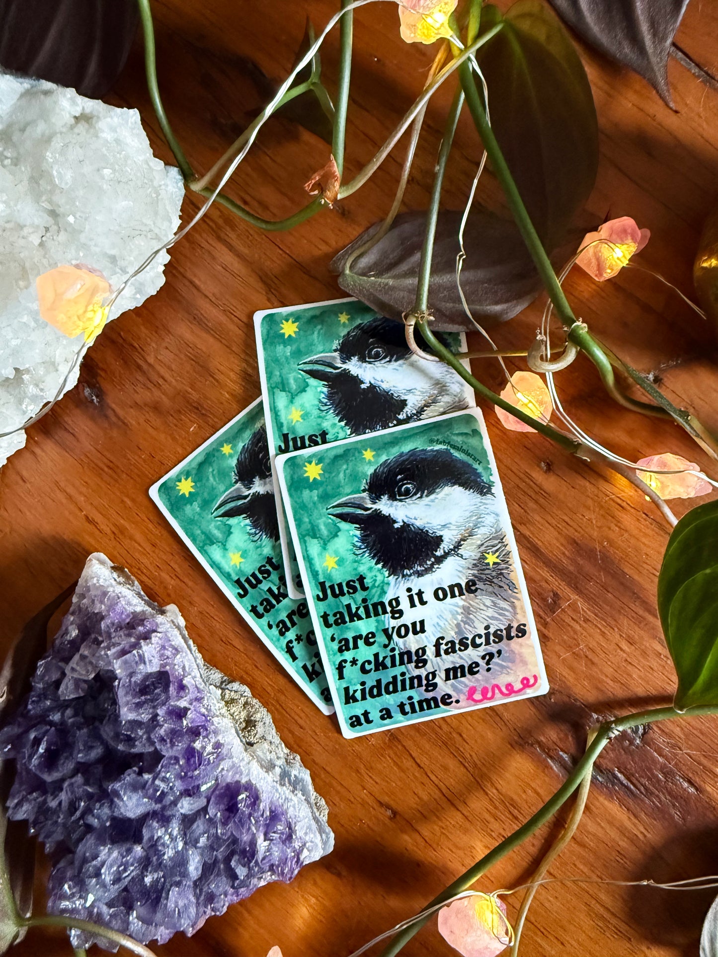 Just taking it one are you f*cking fascists kidding me at a time: feminist sticker