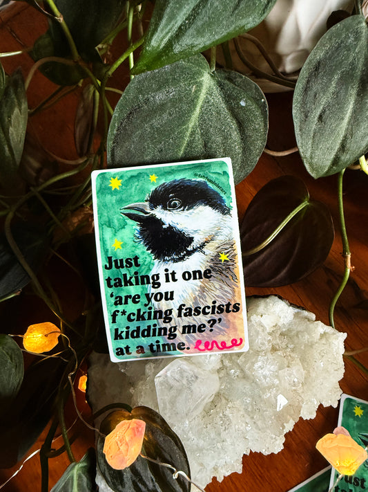 Just taking it one are you f*cking fascists kidding me at a time: feminist sticker