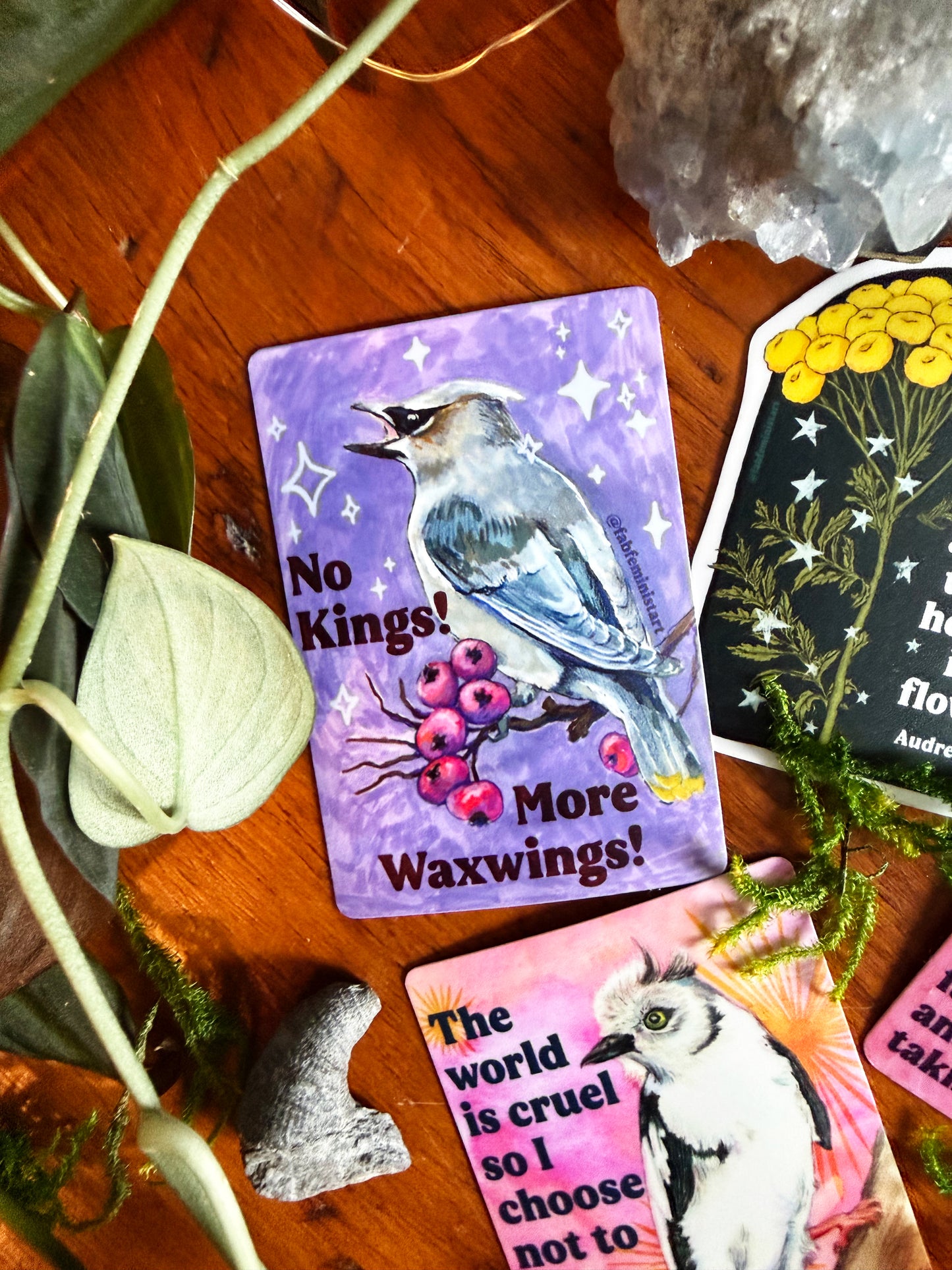 No kings more waxwings: feminist sticker