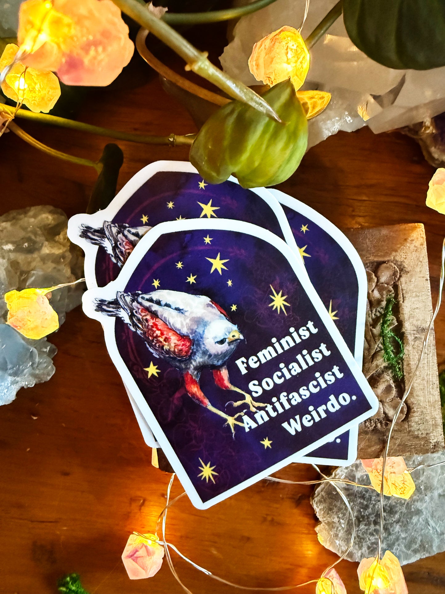 Feminist Socialist Antifascist Weirdo: Feminist Sticker
