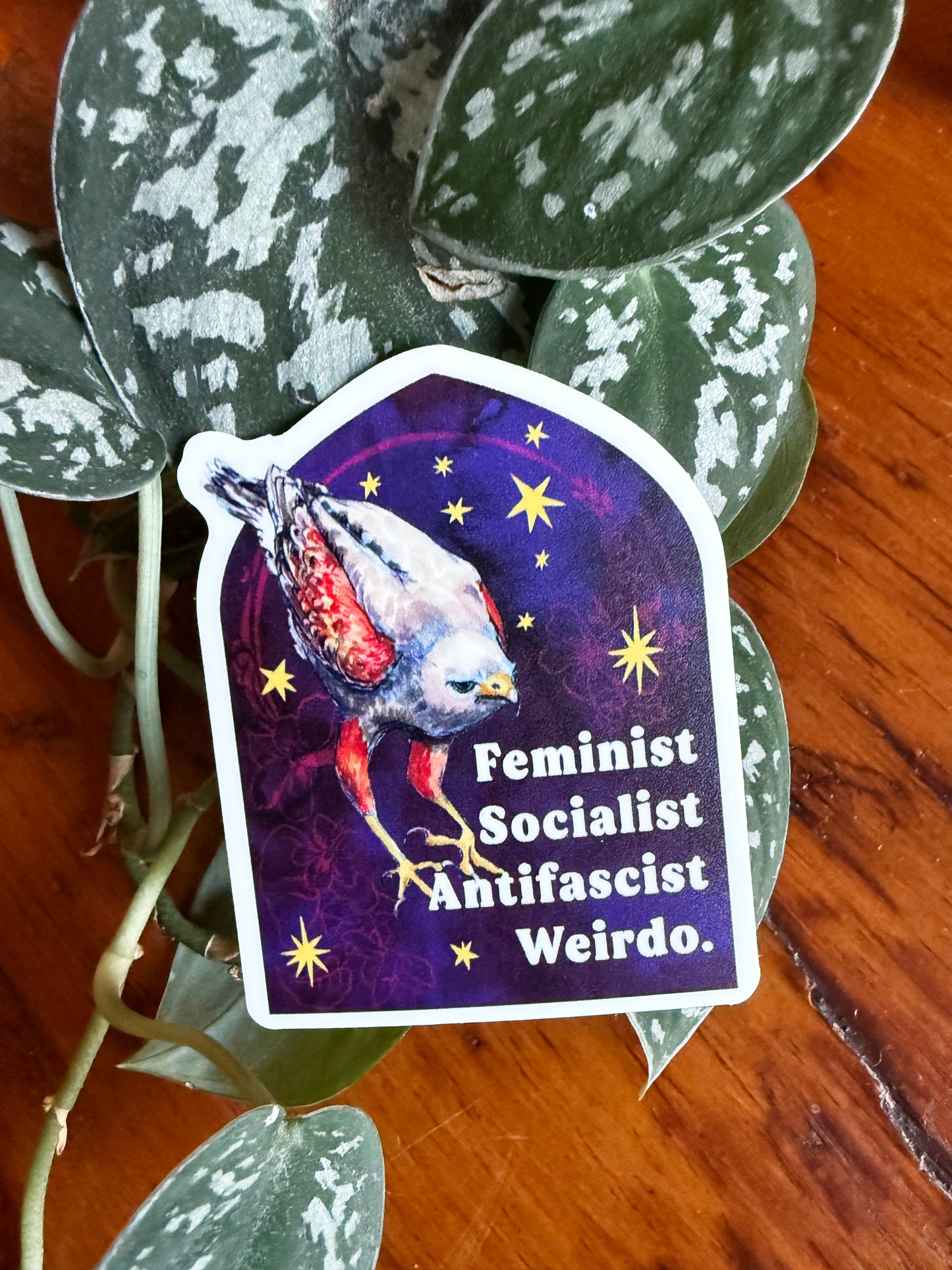 Feminist Socialist Antifascist Weirdo: Feminist Sticker