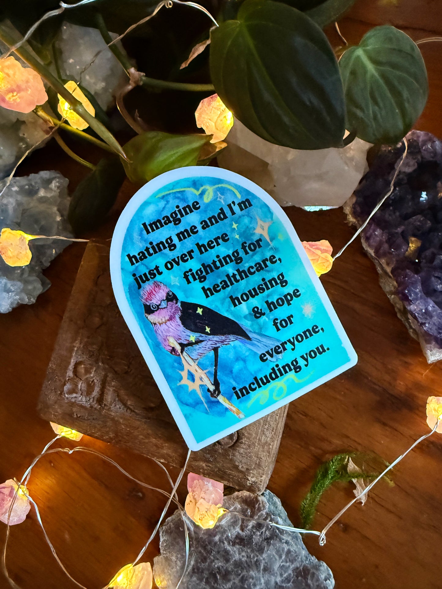 Imagine Hating Me And I'm Just Over Here Fighting For Healthcare Housing and Hope: Feminist Sticker