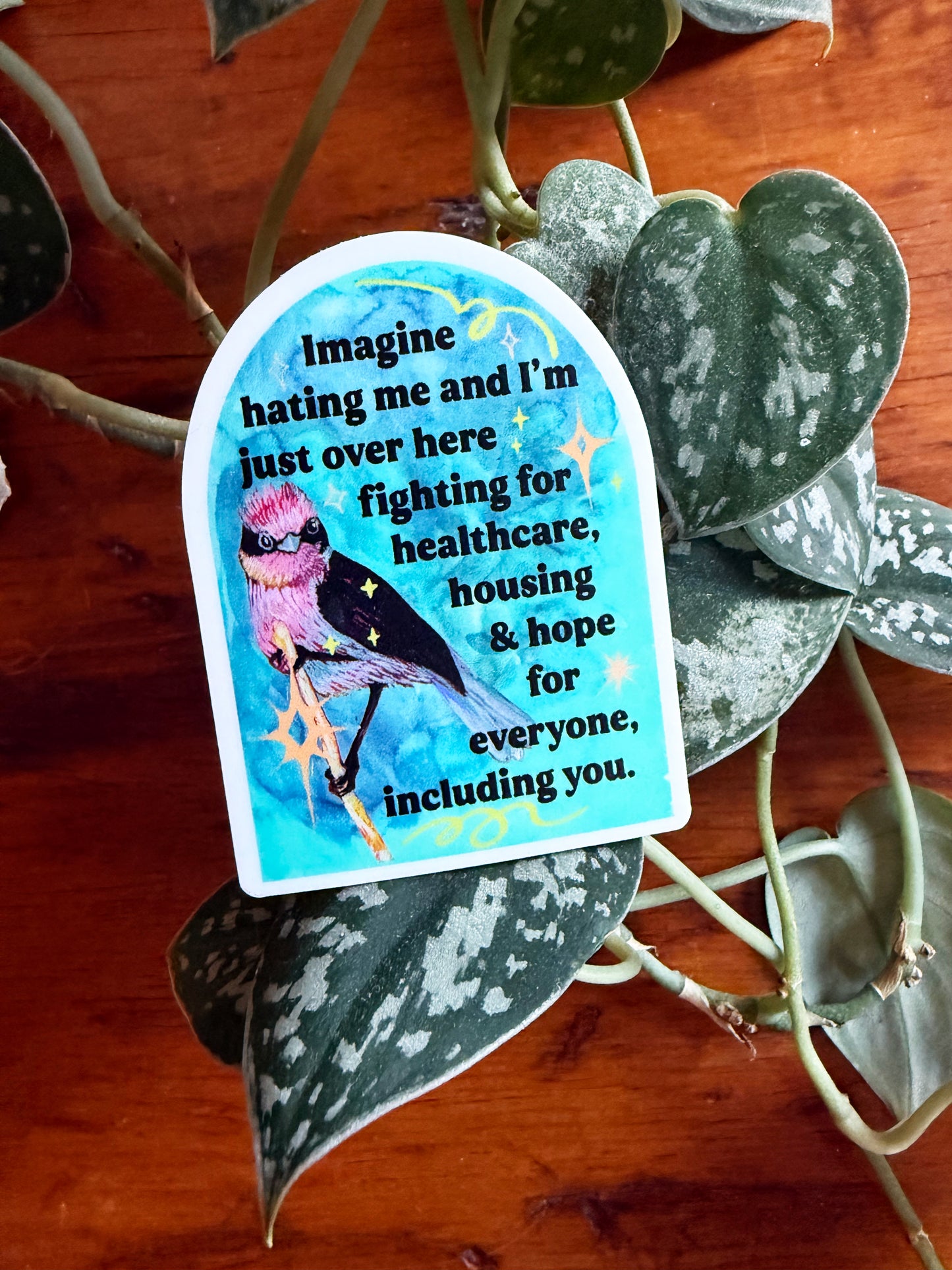 Imagine Hating Me And I'm Just Over Here Fighting For Healthcare Housing and Hope: Feminist Sticker