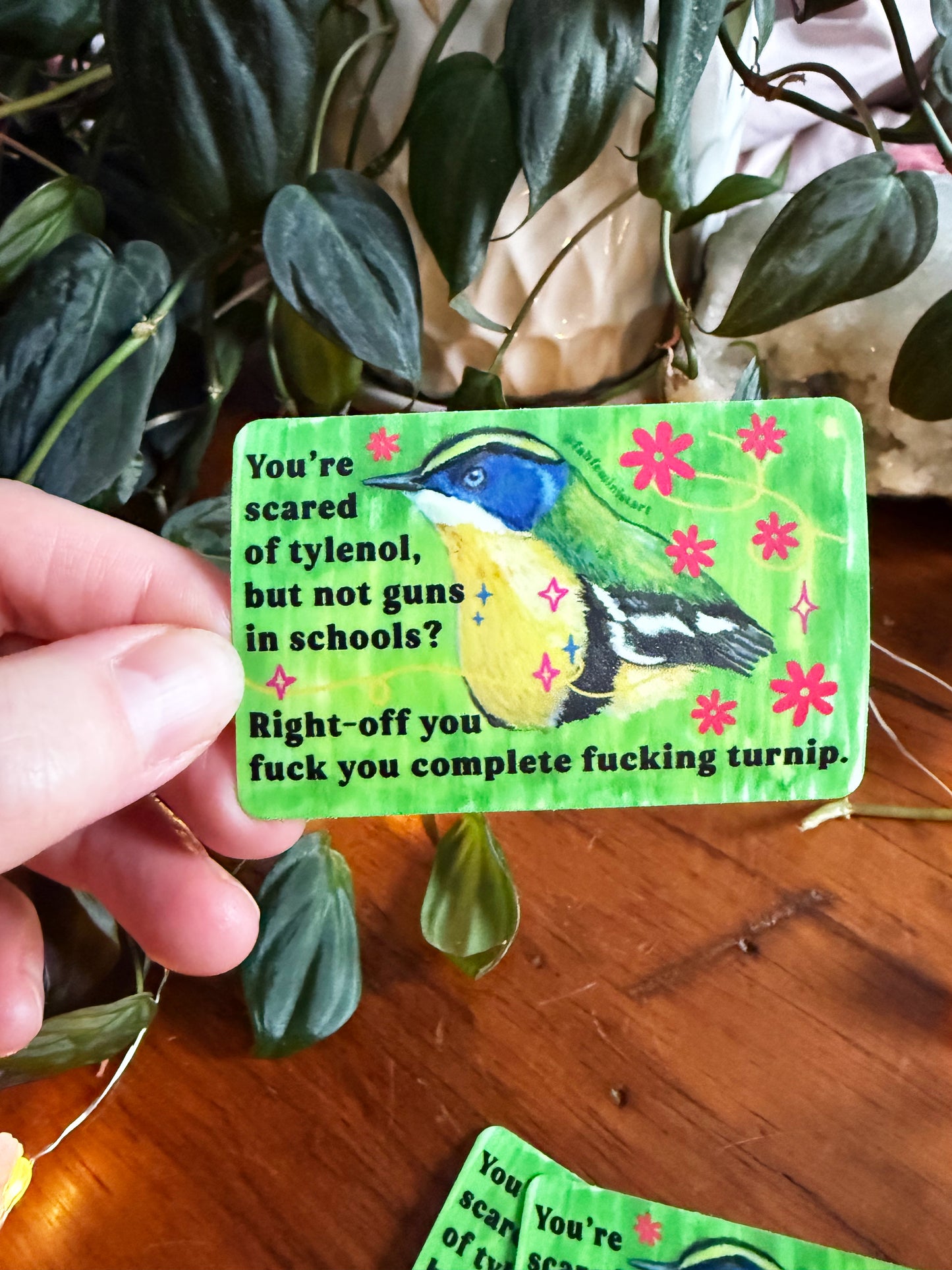 You're scared of tylenol but not guns in schools: feminist sticker