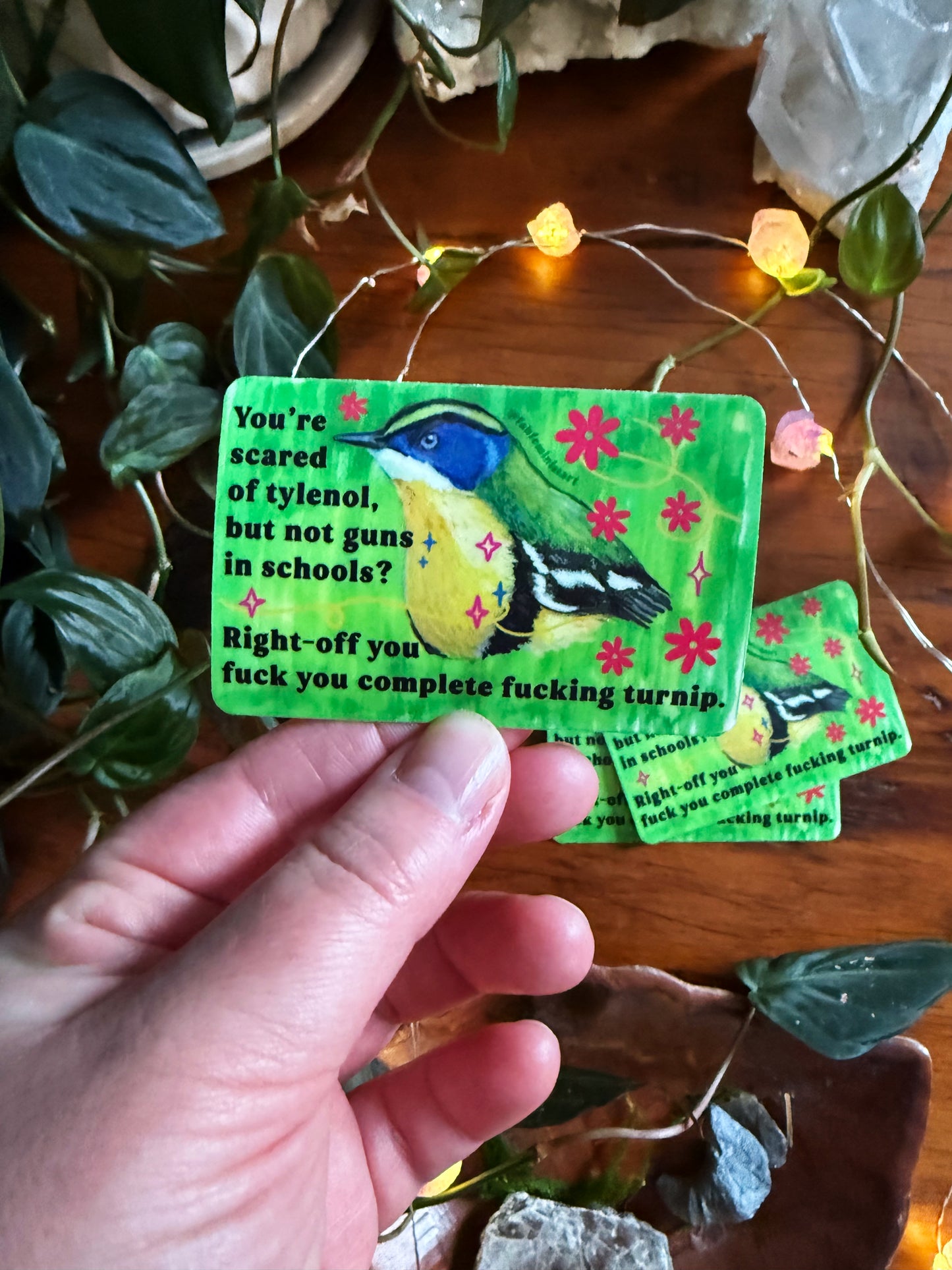 You're scared of tylenol but not guns in schools: feminist sticker
