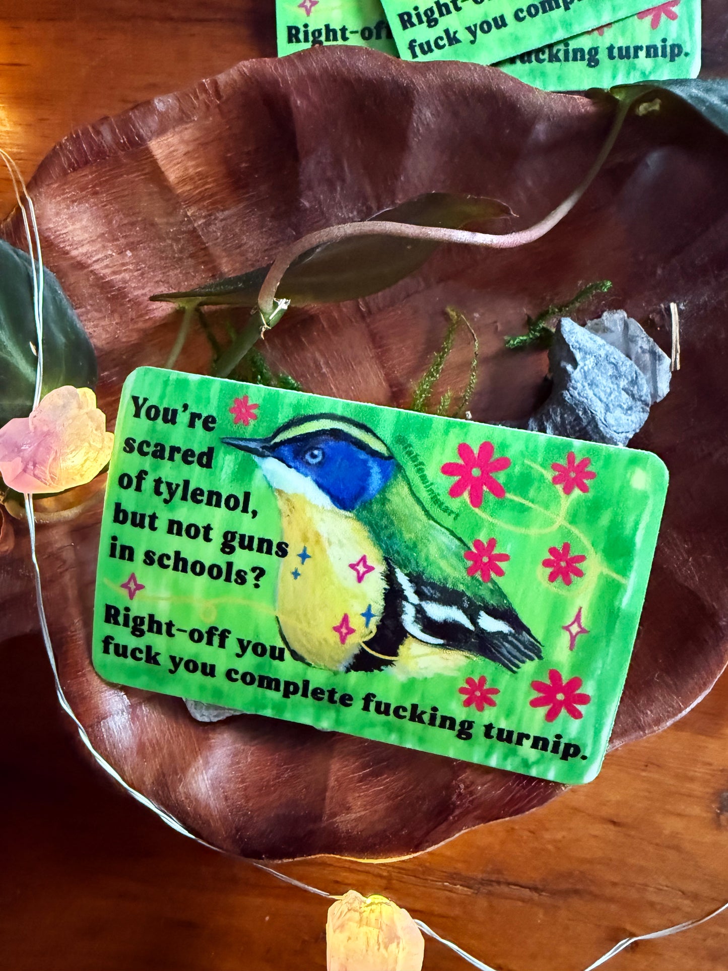 You're scared of tylenol but not guns in schools: feminist sticker