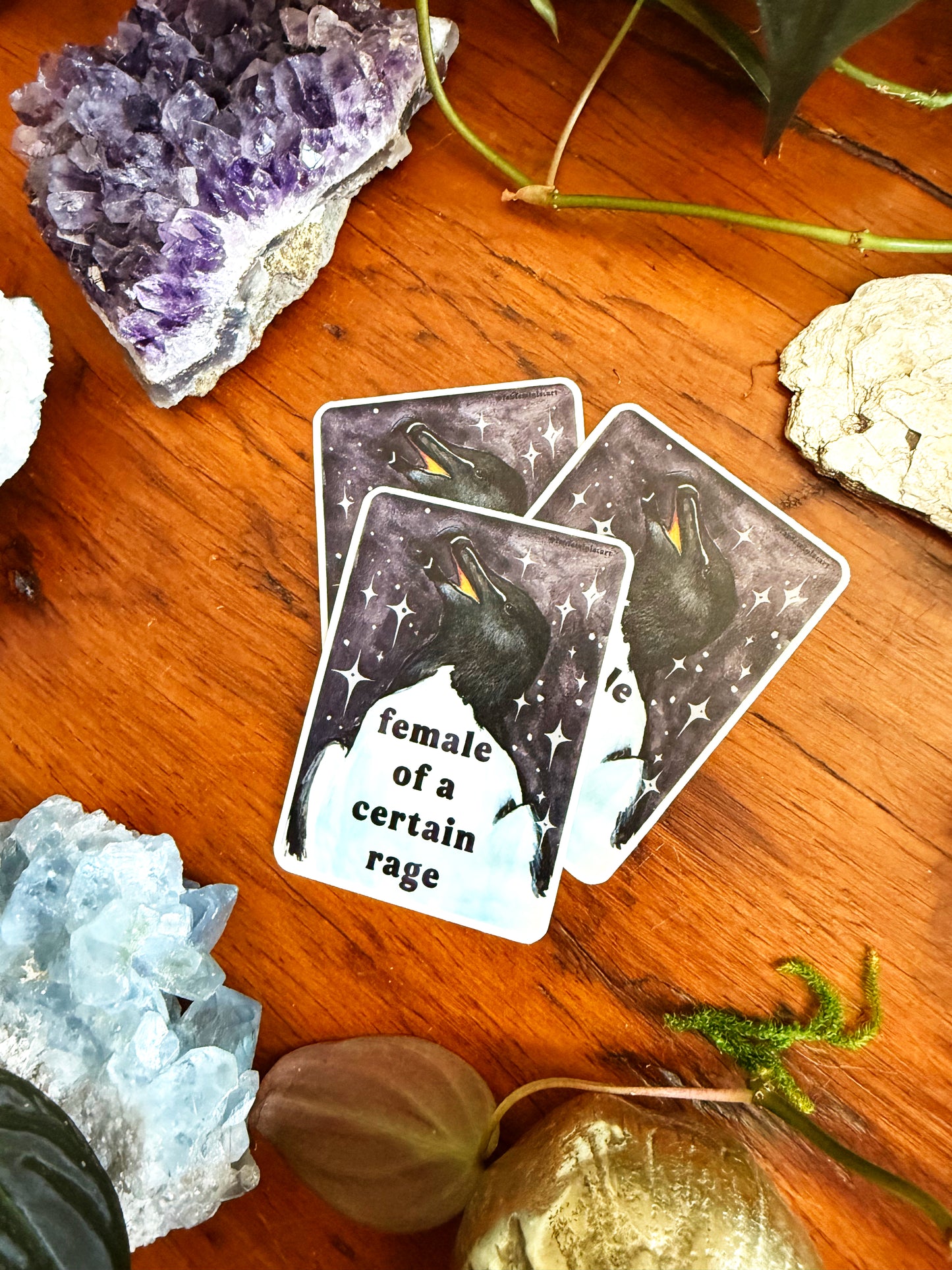 Female of a certain rage: feminist sticker