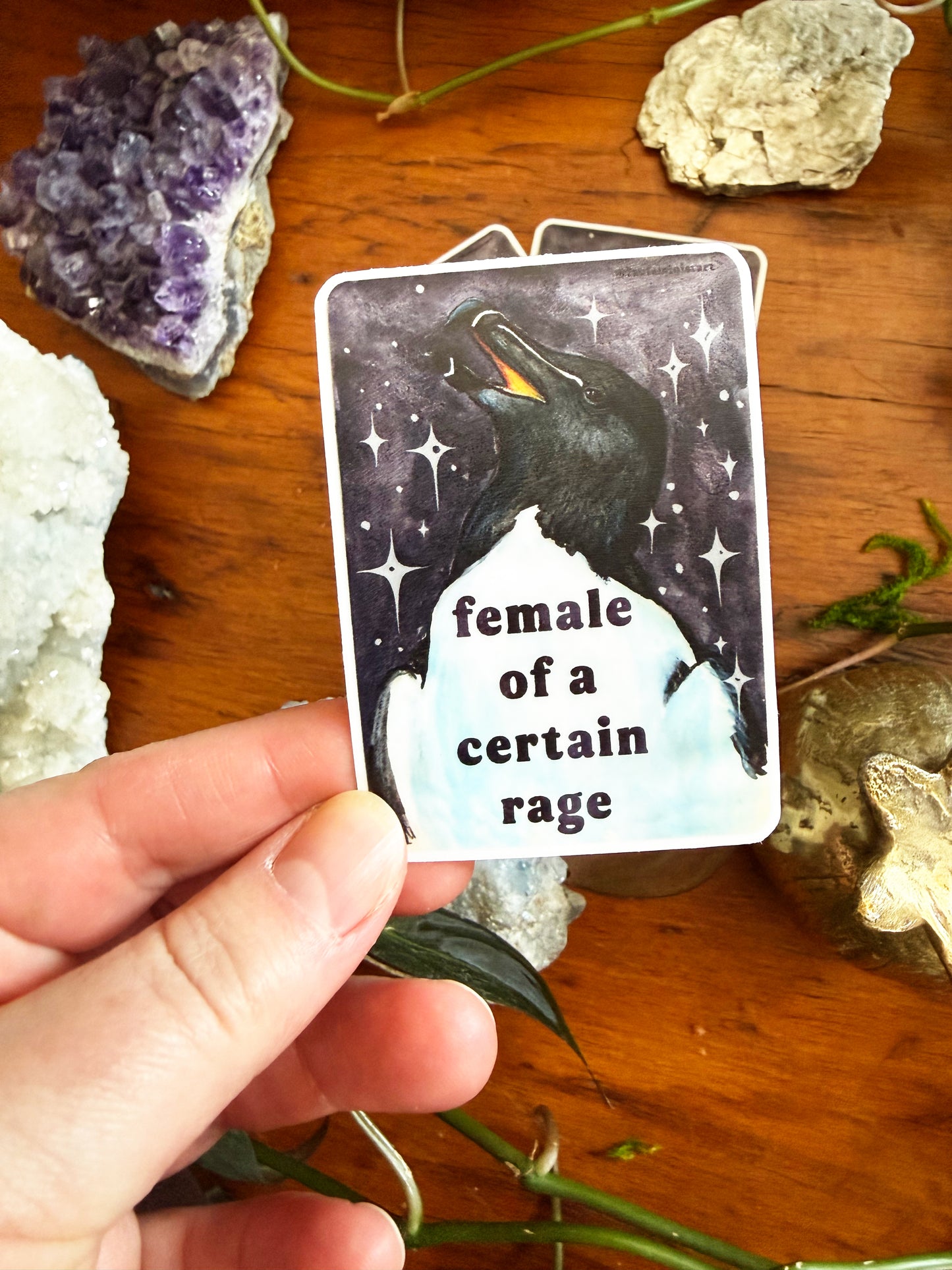 Female of a certain rage: feminist sticker