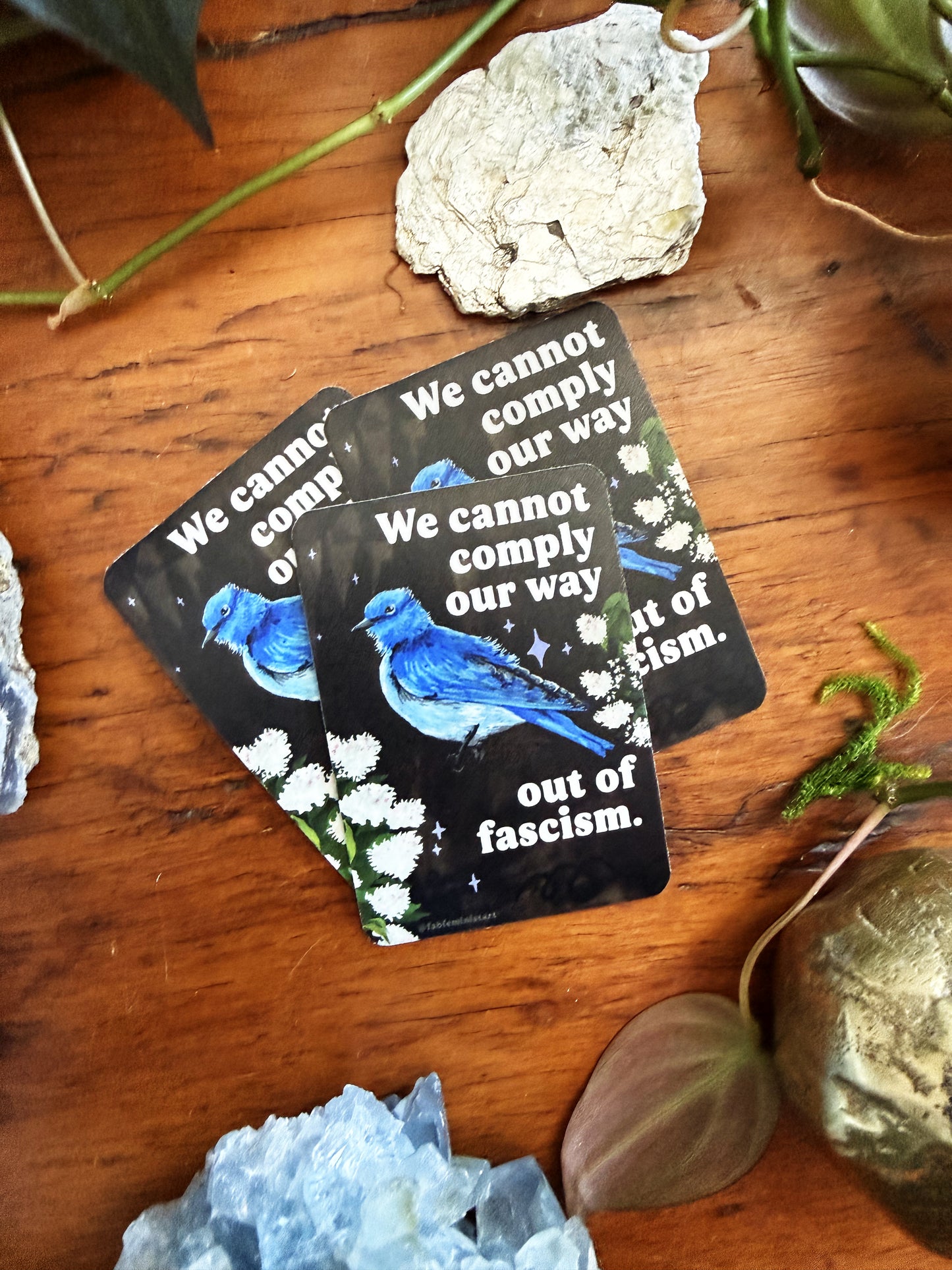 We cannot comply our way out of fascism: sticker