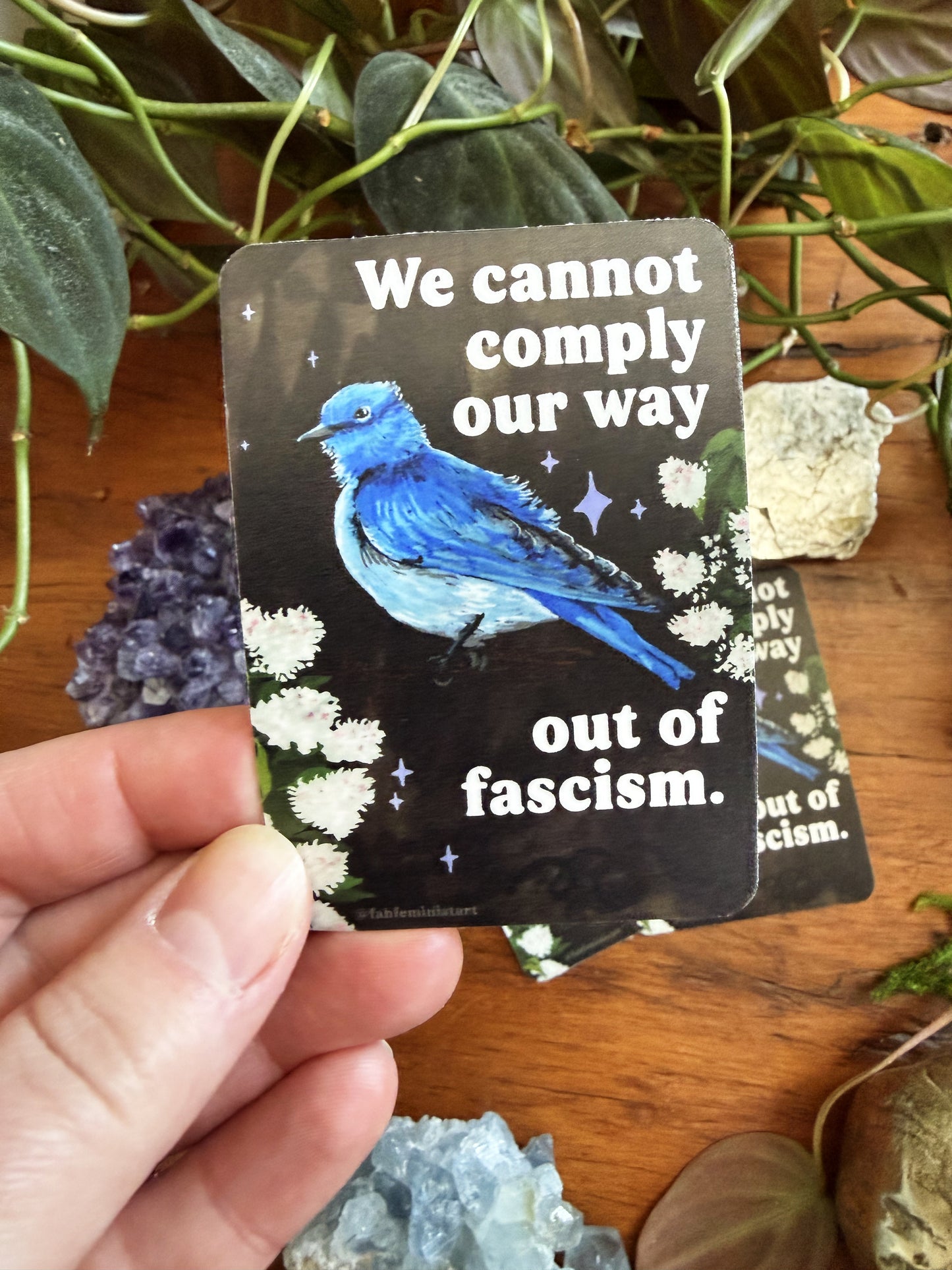We cannot comply our way out of fascism: sticker