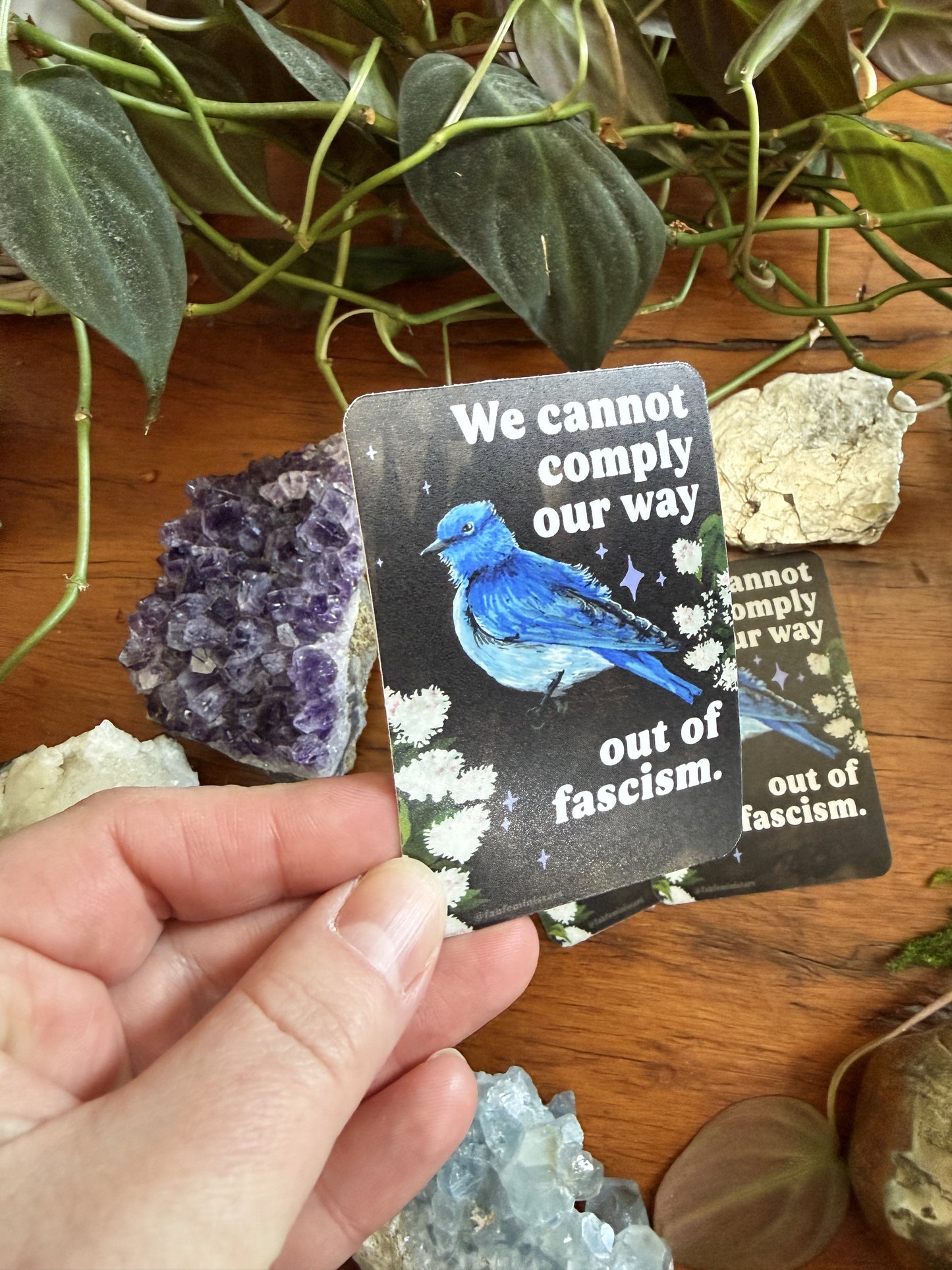We cannot comply our way out of fascism: sticker