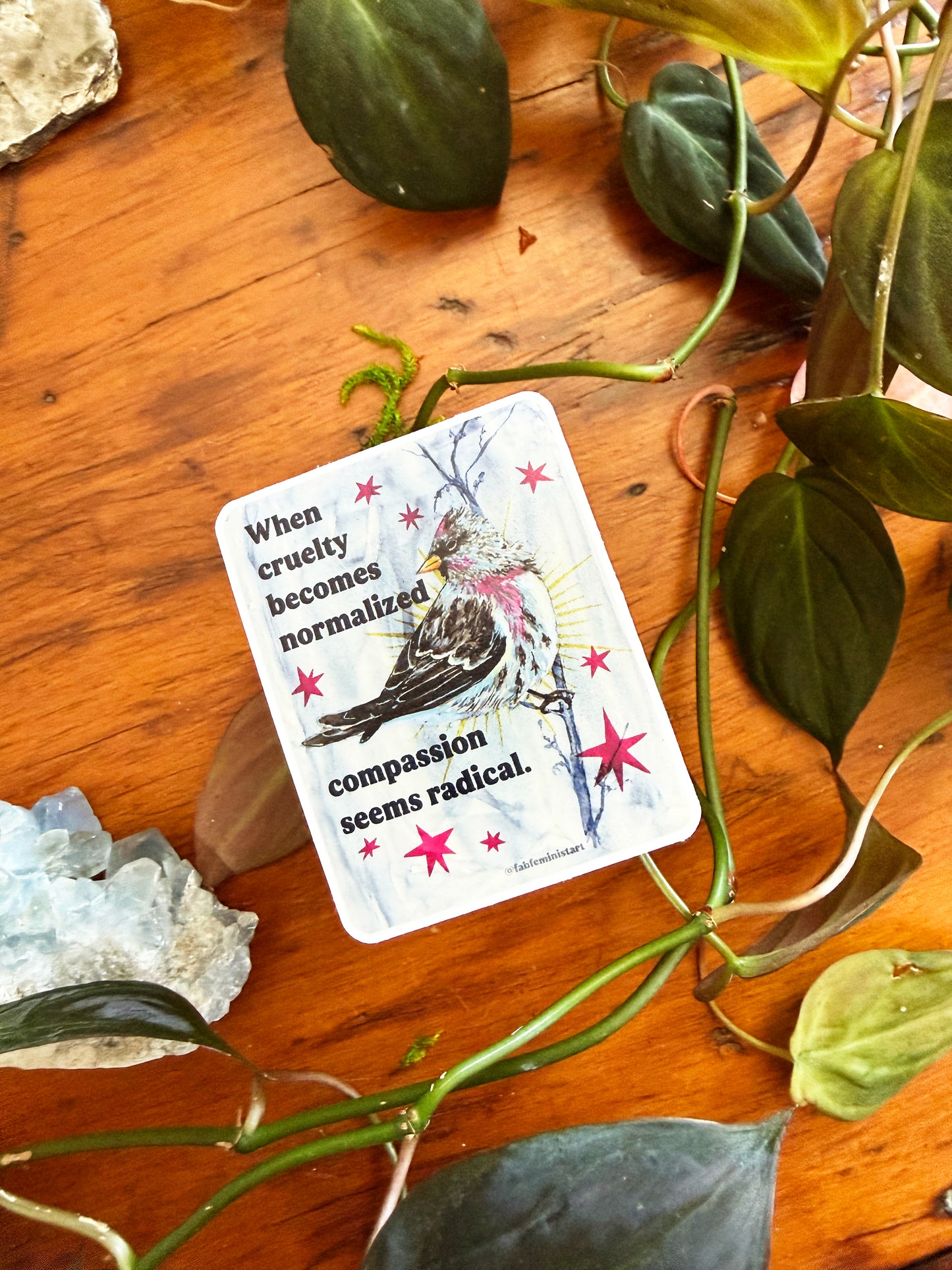 When cruelty becomes normalized compassion seems radical: feminist sticker