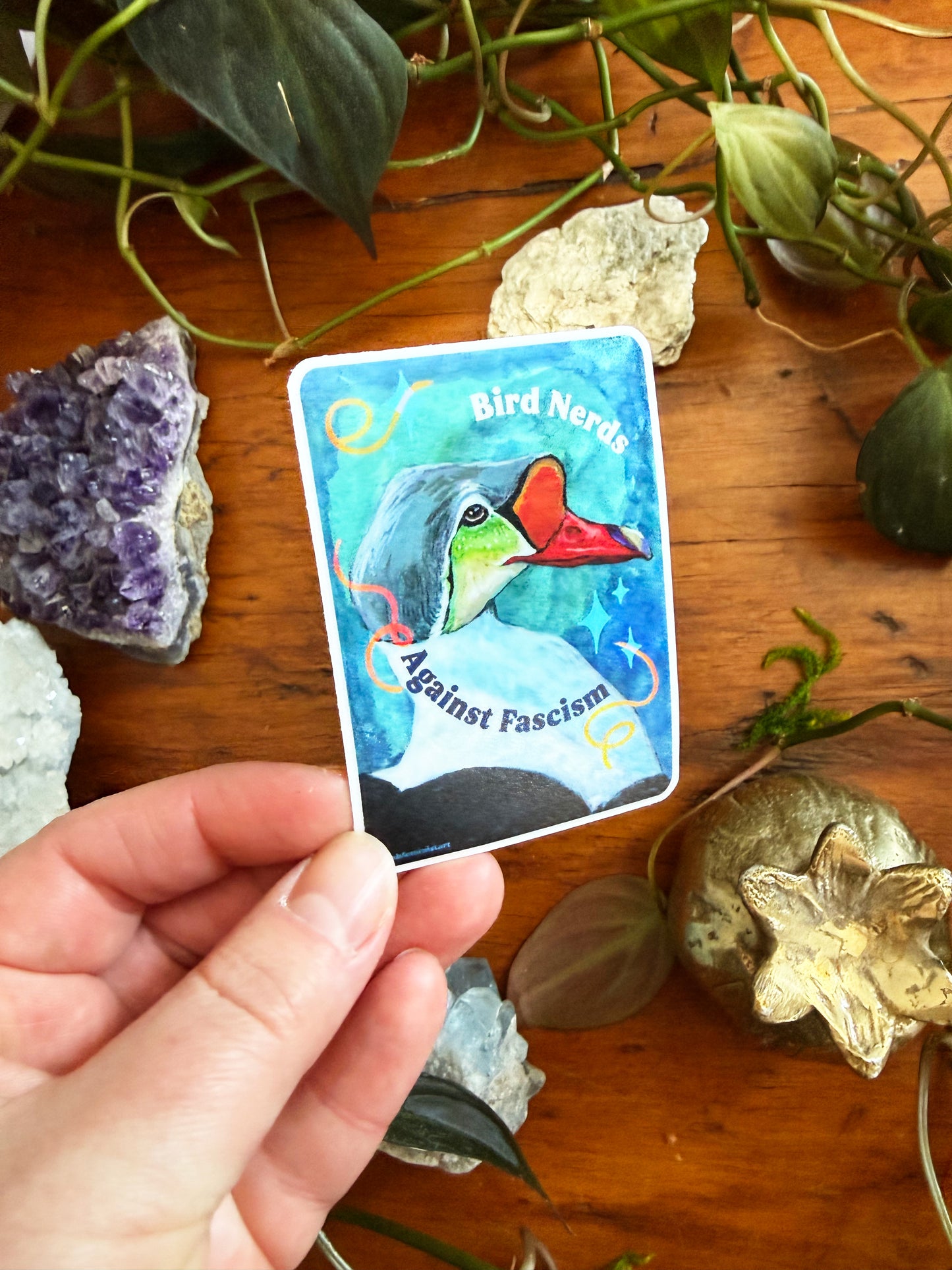 Bird Nerds Against Fascism: Feminist Sticker