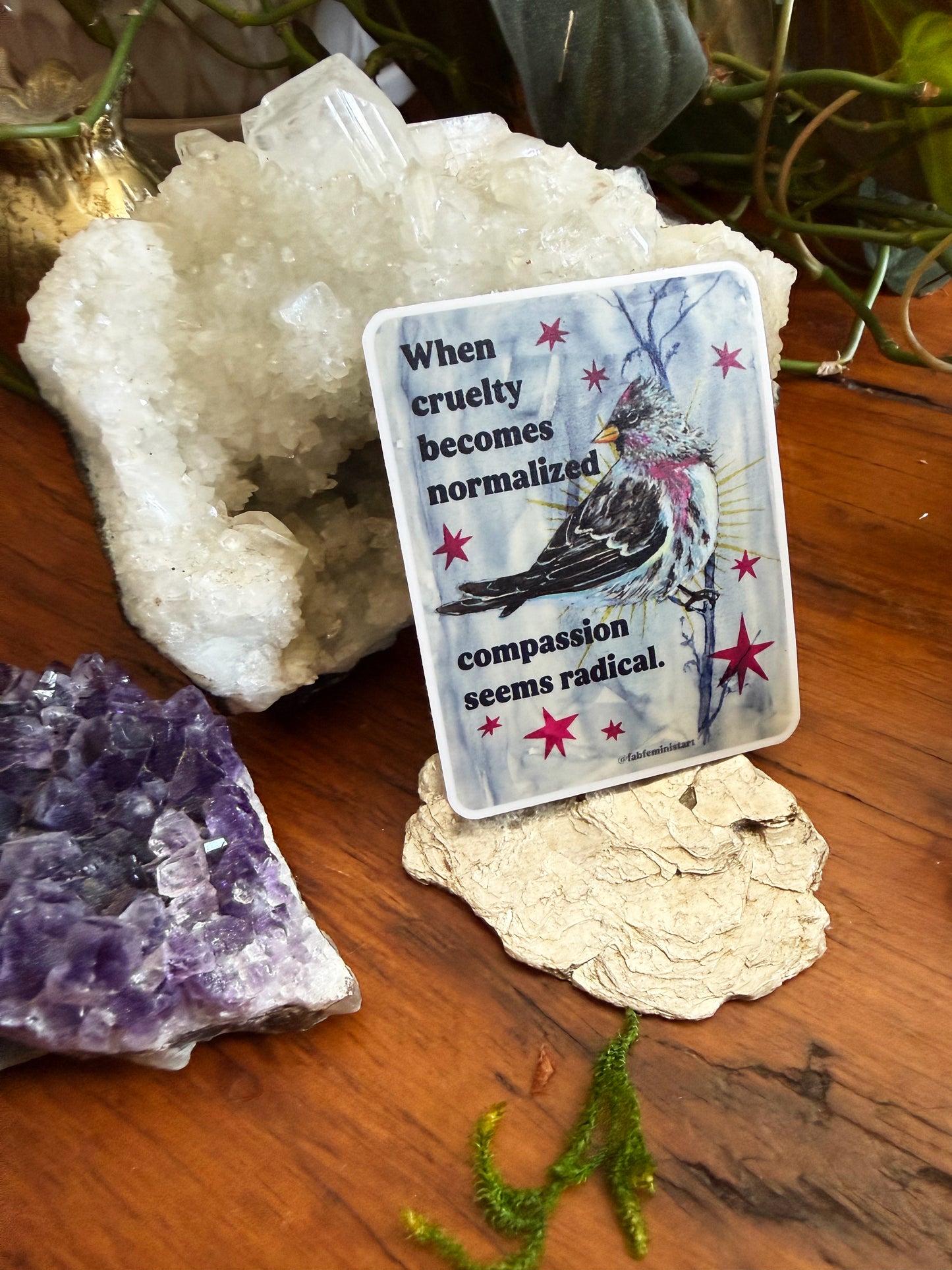 When cruelty becomes normalized compassion seems radical: feminist sticker