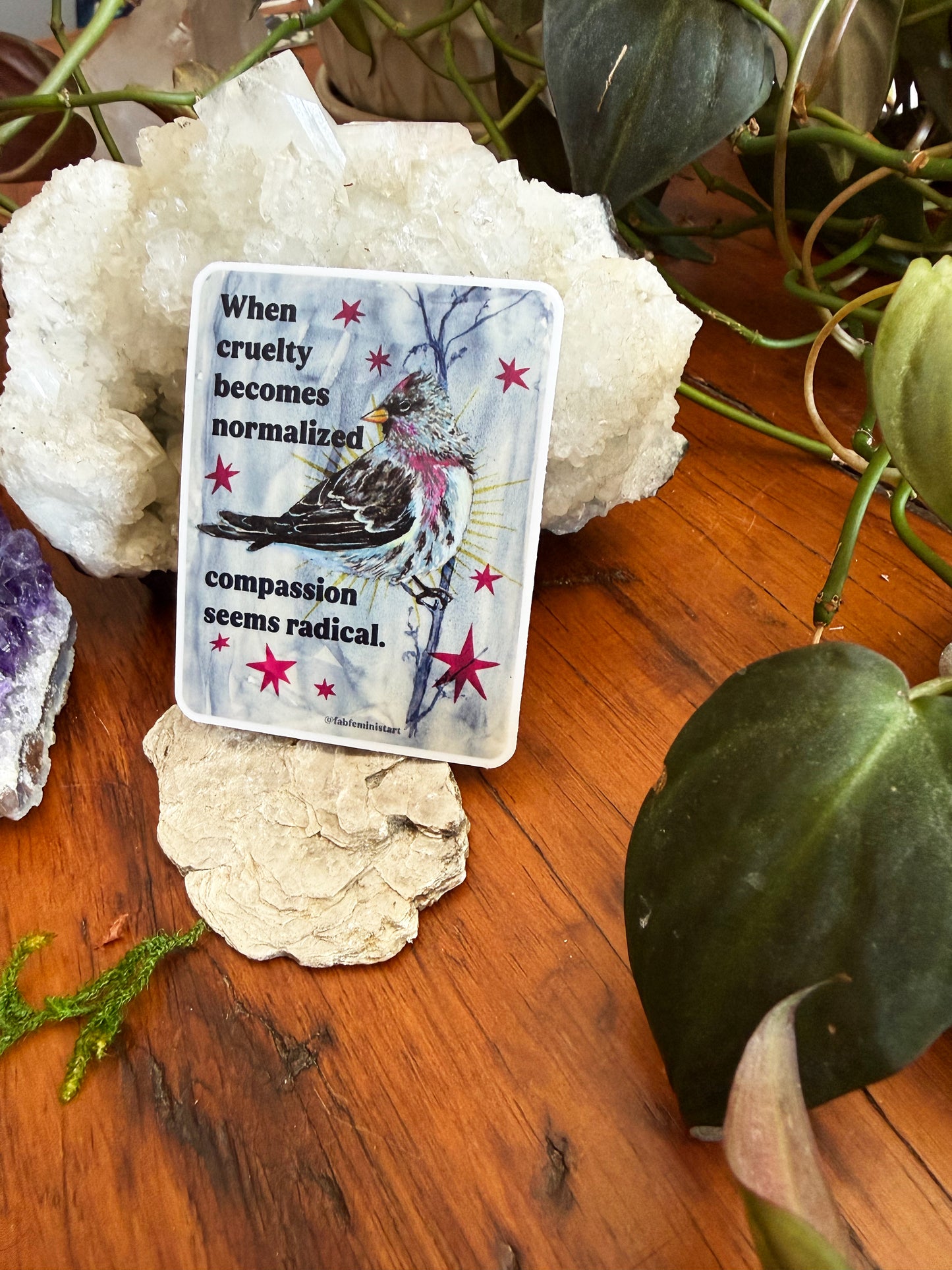 When cruelty becomes normalized compassion seems radical: feminist sticker