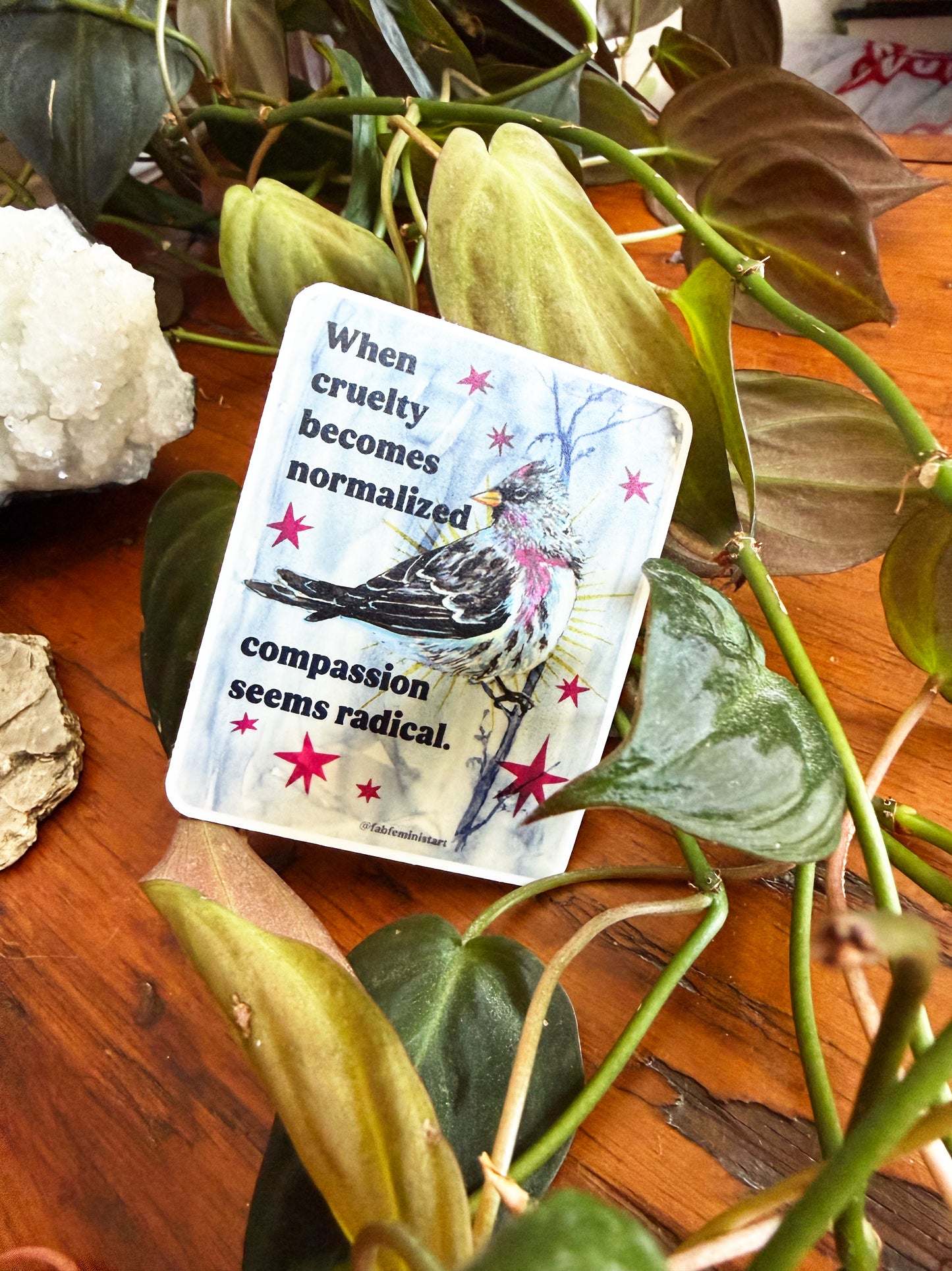 When cruelty becomes normalized compassion seems radical: feminist sticker