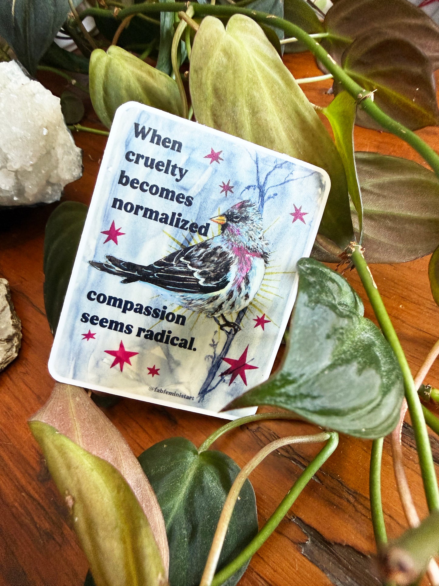 When cruelty becomes normalized compassion seems radical: feminist sticker