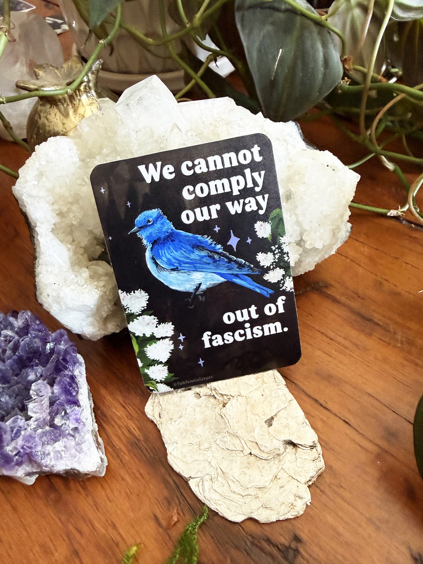 We cannot comply our way out of fascism: sticker