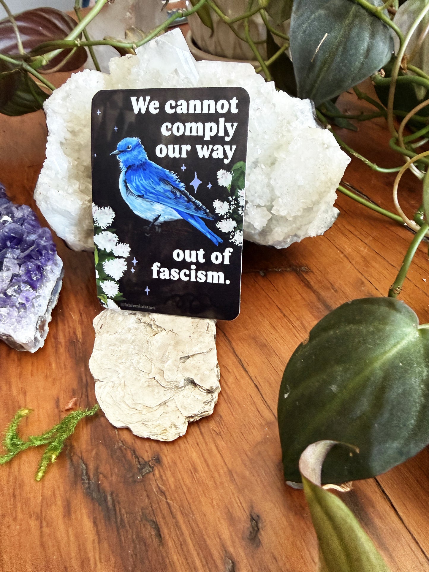 We cannot comply our way out of fascism: sticker