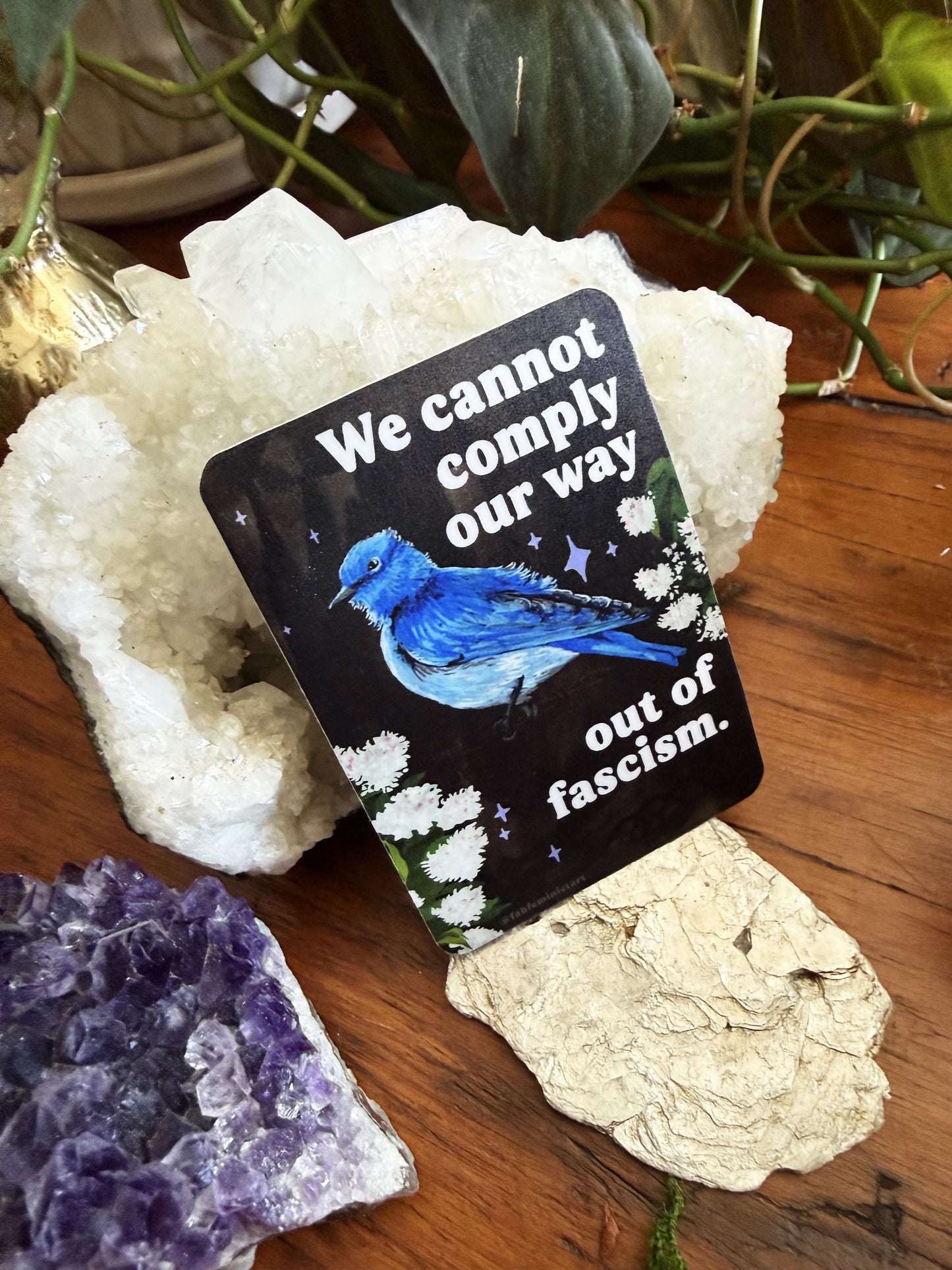 We cannot comply our way out of fascism: sticker