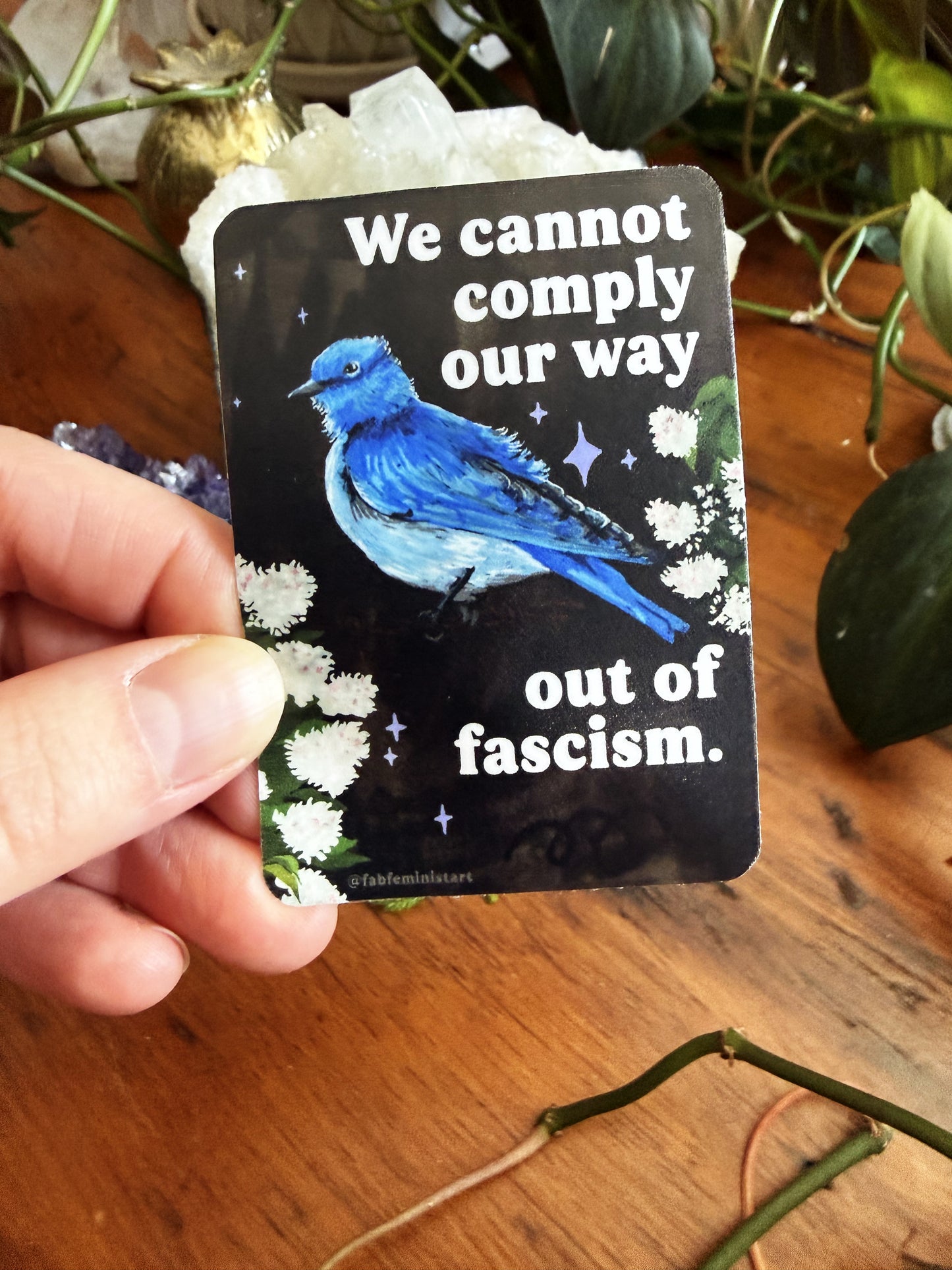 We cannot comply our way out of fascism: sticker