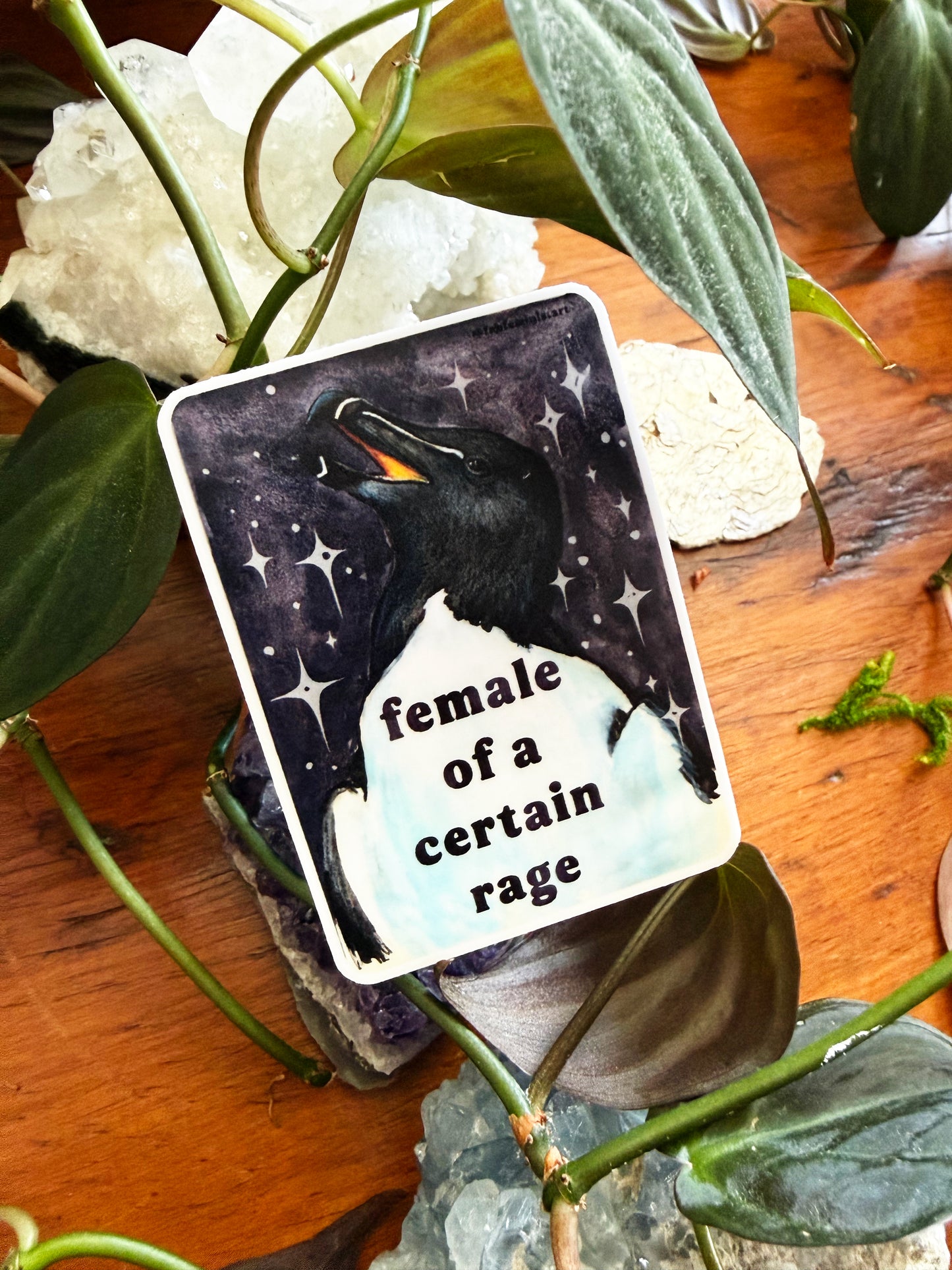 Female of a certain rage: feminist sticker