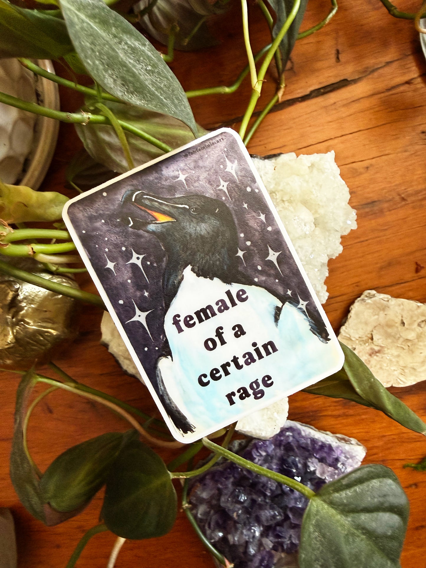 Female of a certain rage: feminist sticker