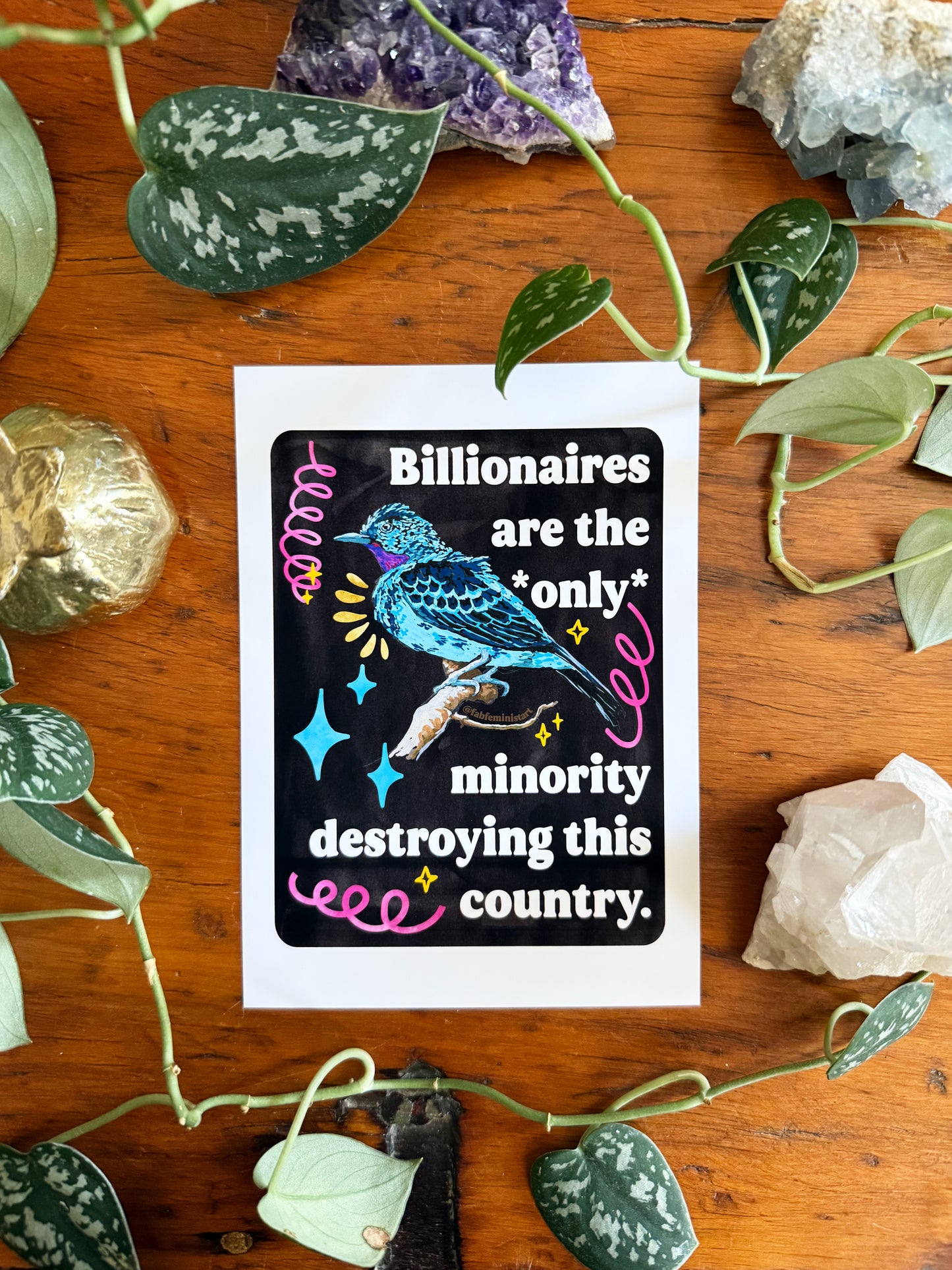 Billionaires are the *only* minority destroying this country: feminist art print