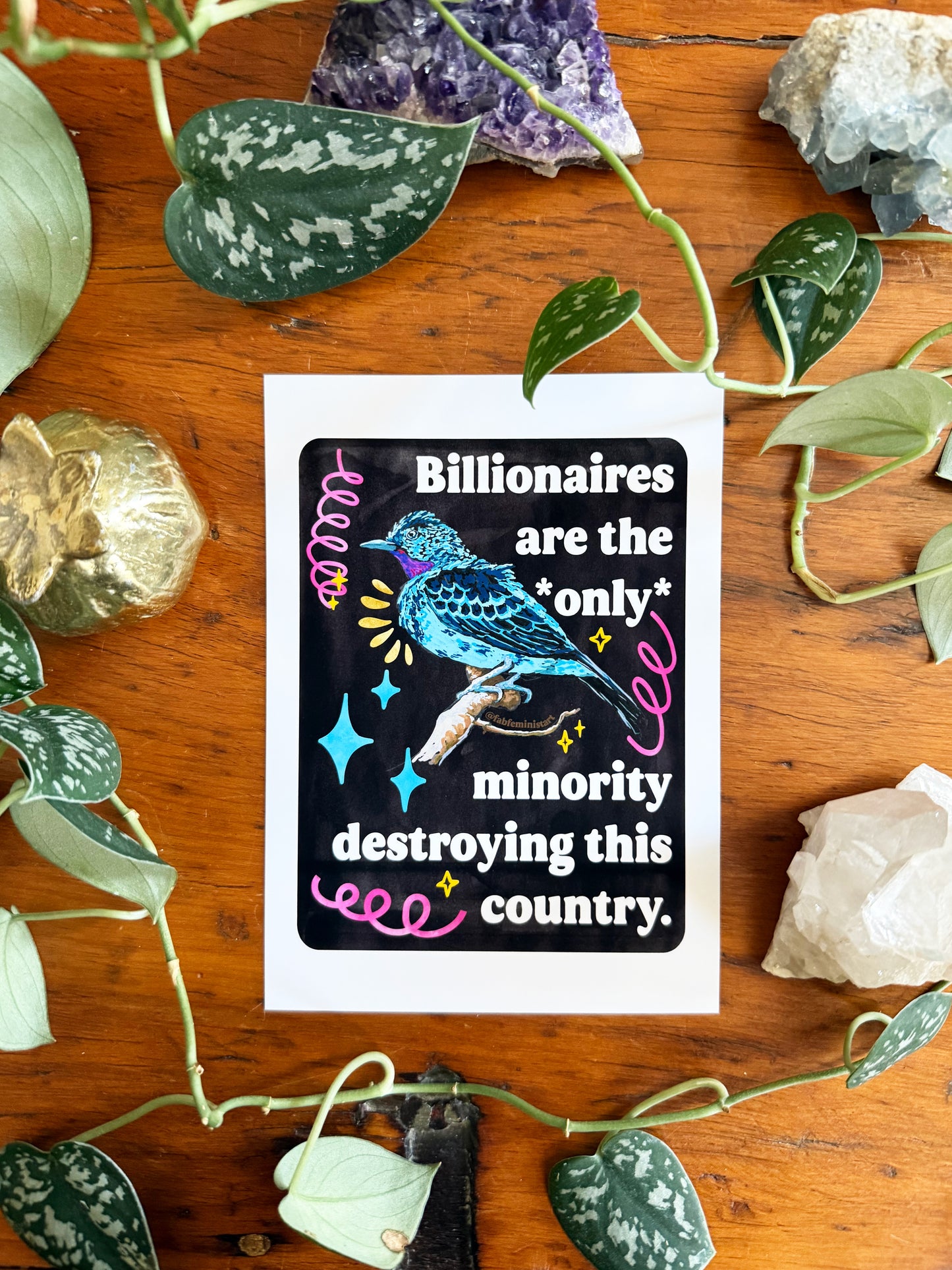 Billionaires are the *only* minority destroying this country: feminist art print