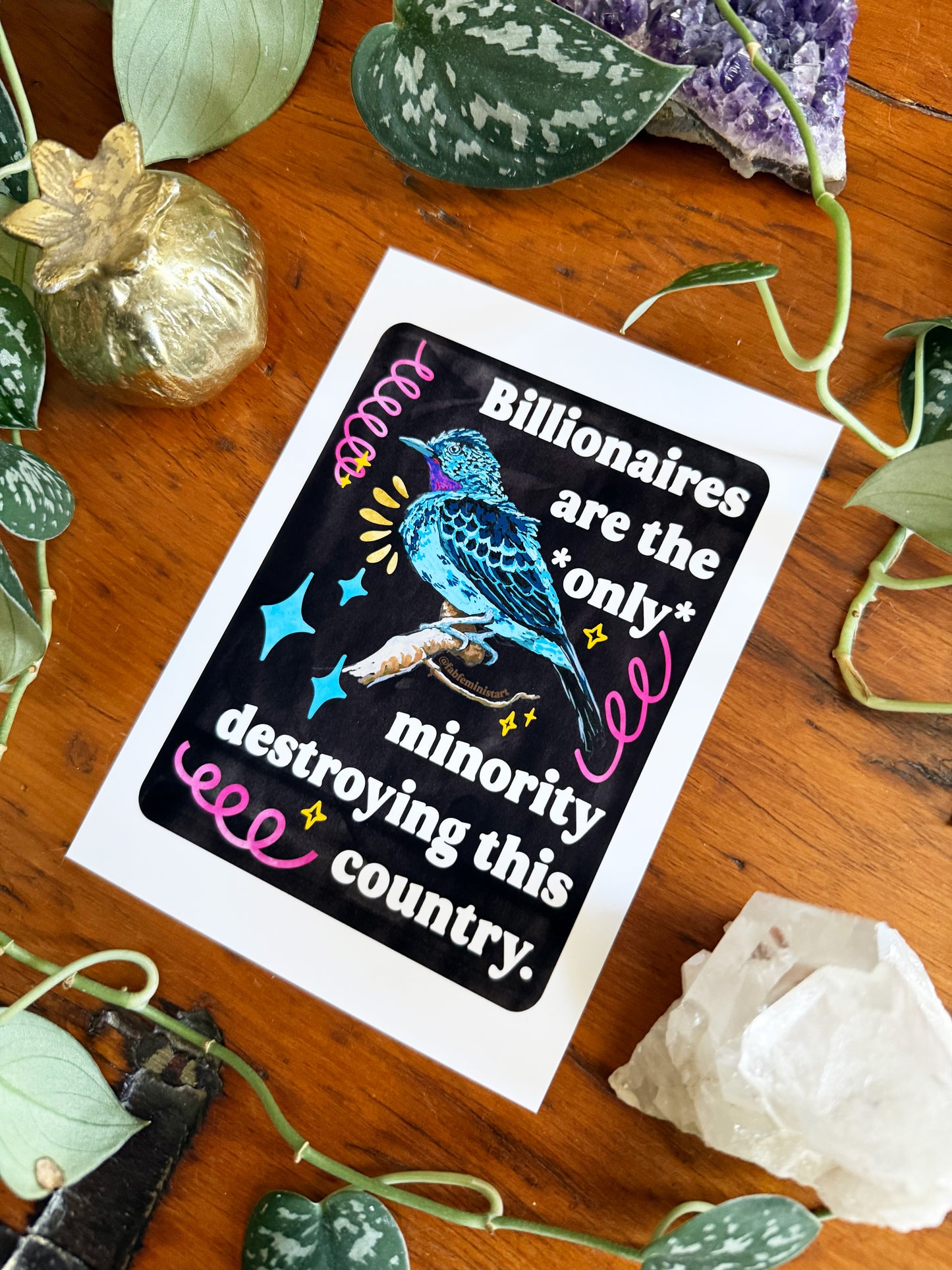 Billionaires are the *only* minority destroying this country: feminist art print