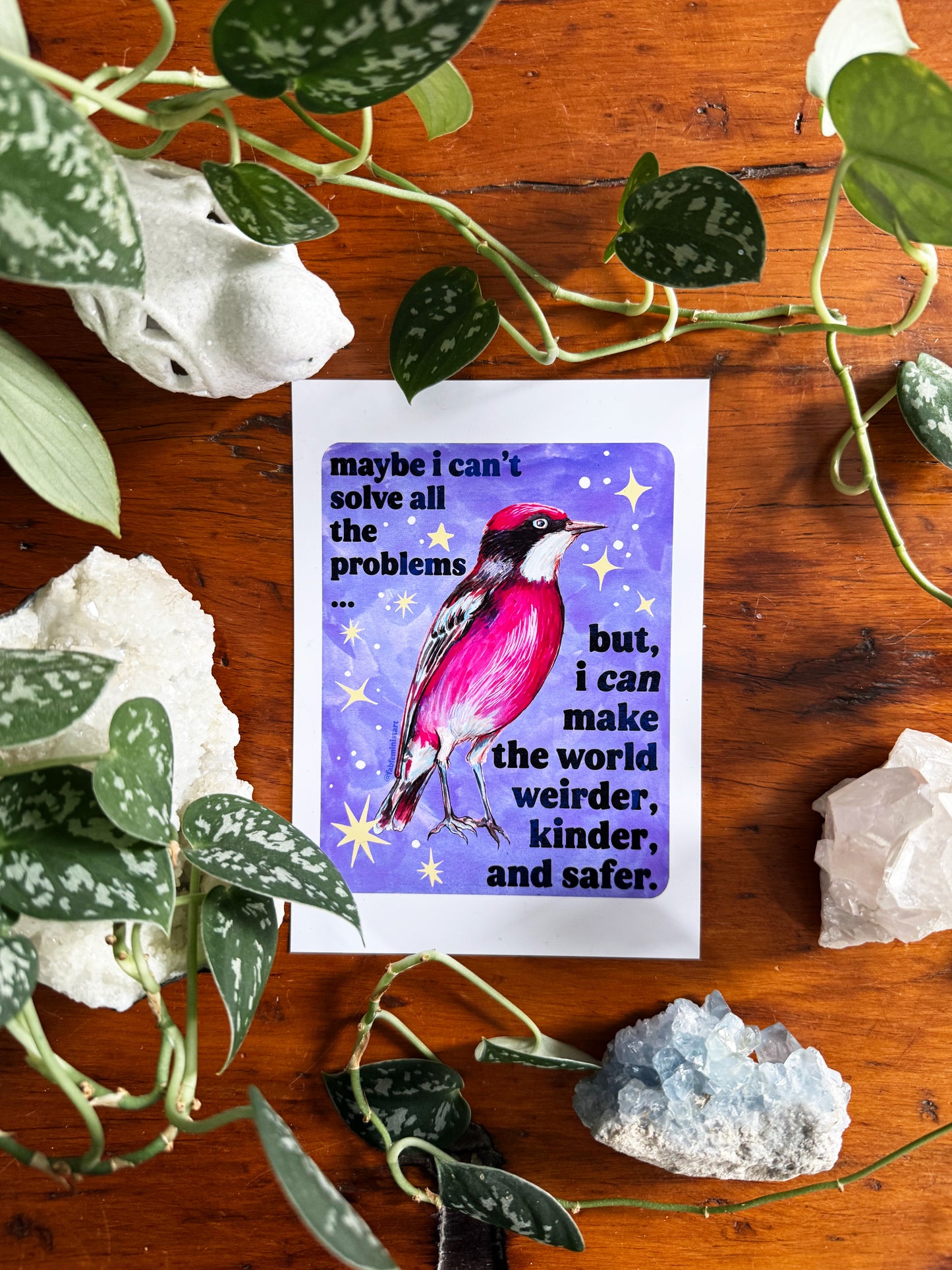 Maybe I Can't Solve All The Problems but I can make the world weirder kinder and safer: feminist art print
