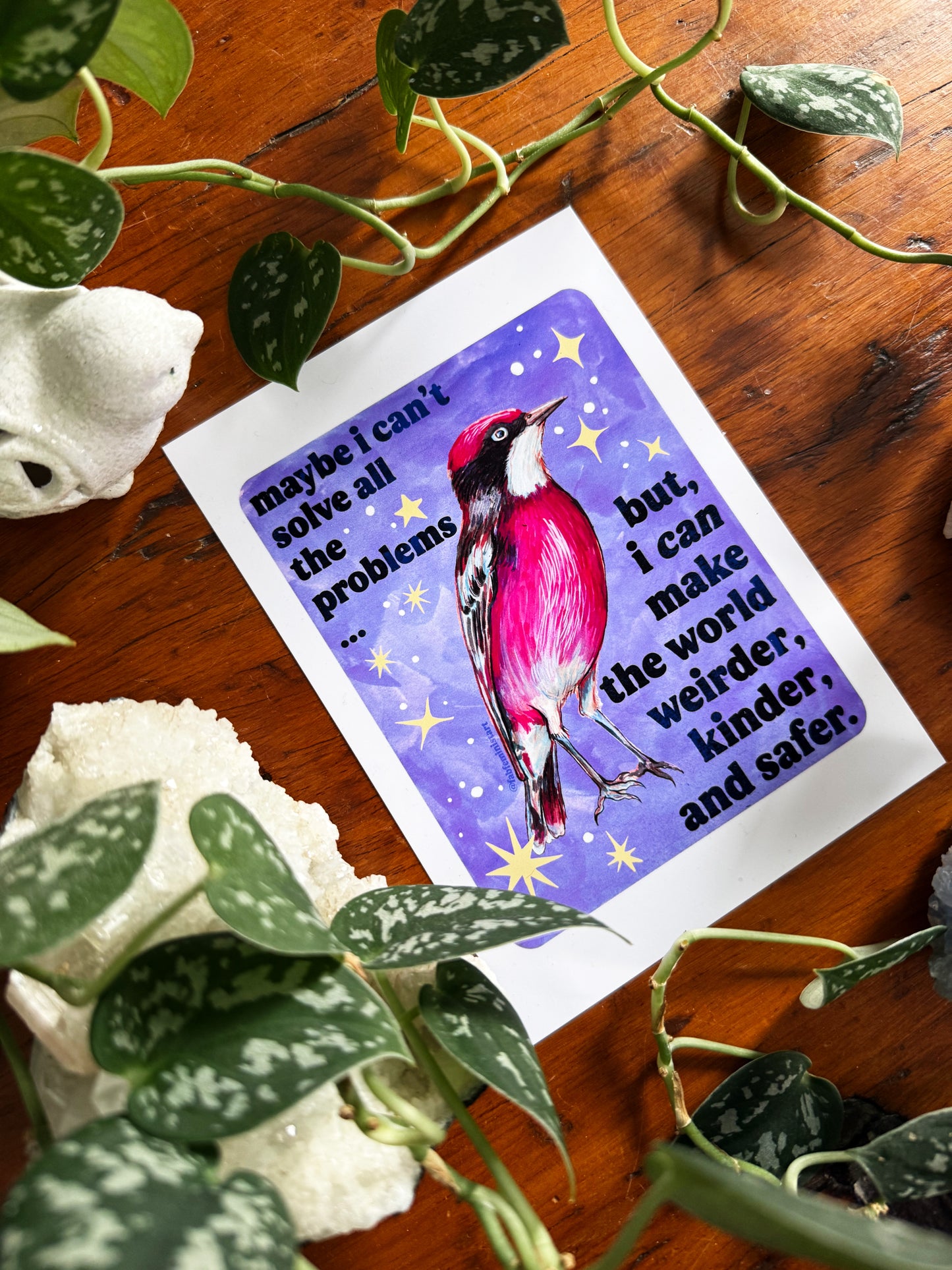 Maybe I Can't Solve All The Problems but I can make the world weirder kinder and safer: feminist art print