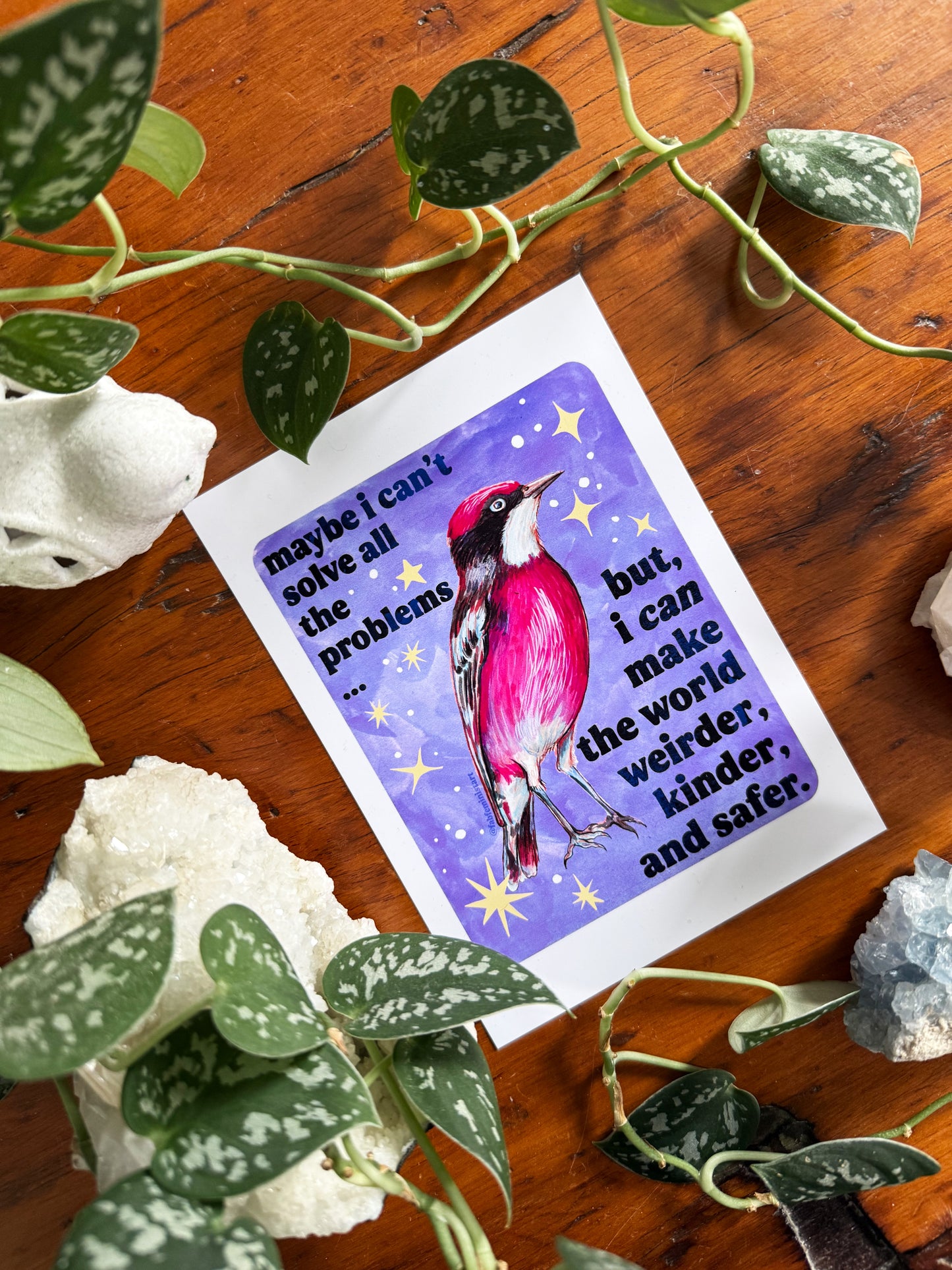 Maybe I Can't Solve All The Problems but I can make the world weirder kinder and safer: feminist art print
