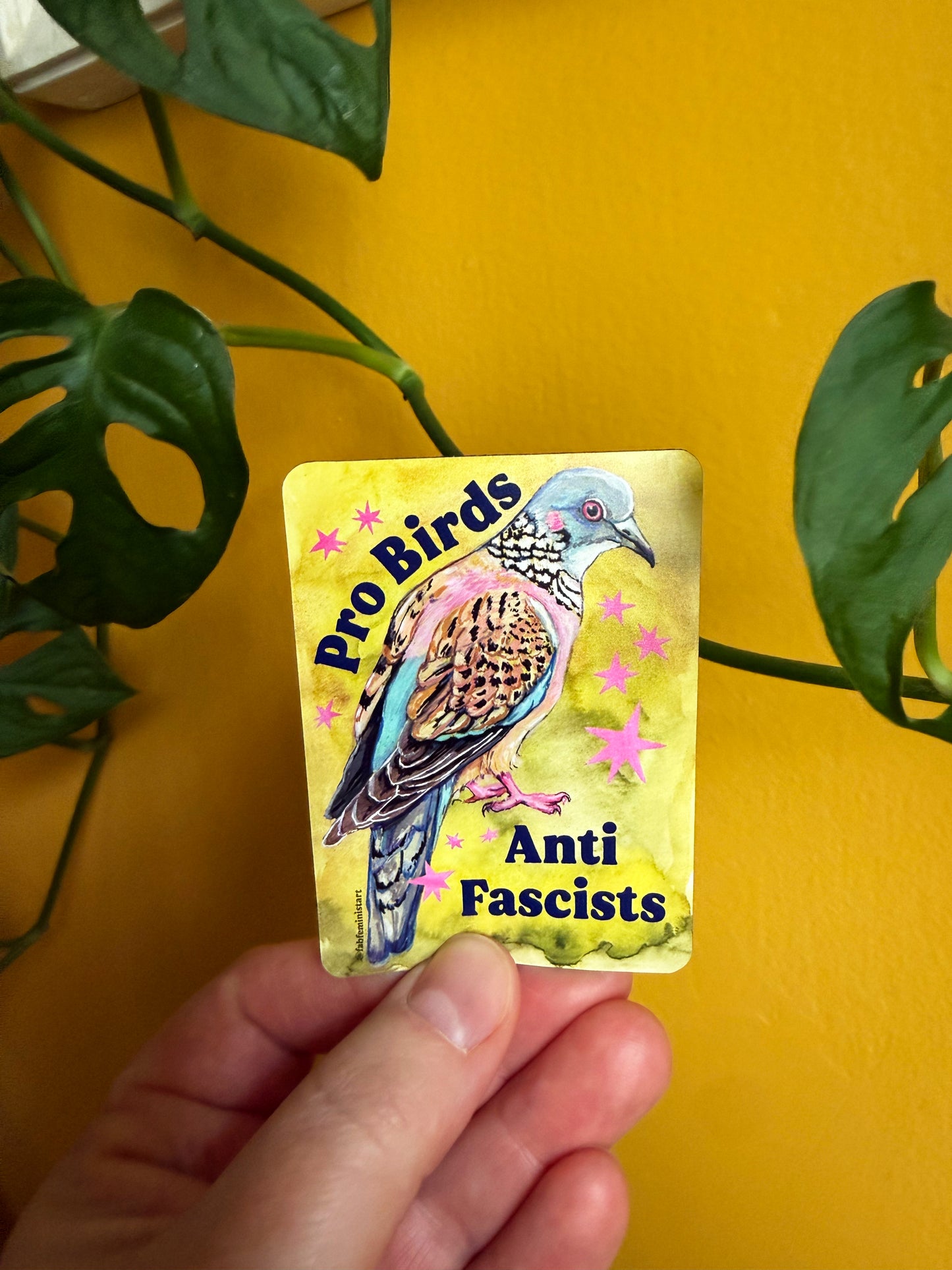 Pro Birds Anti Fascists : Feminist Magnet