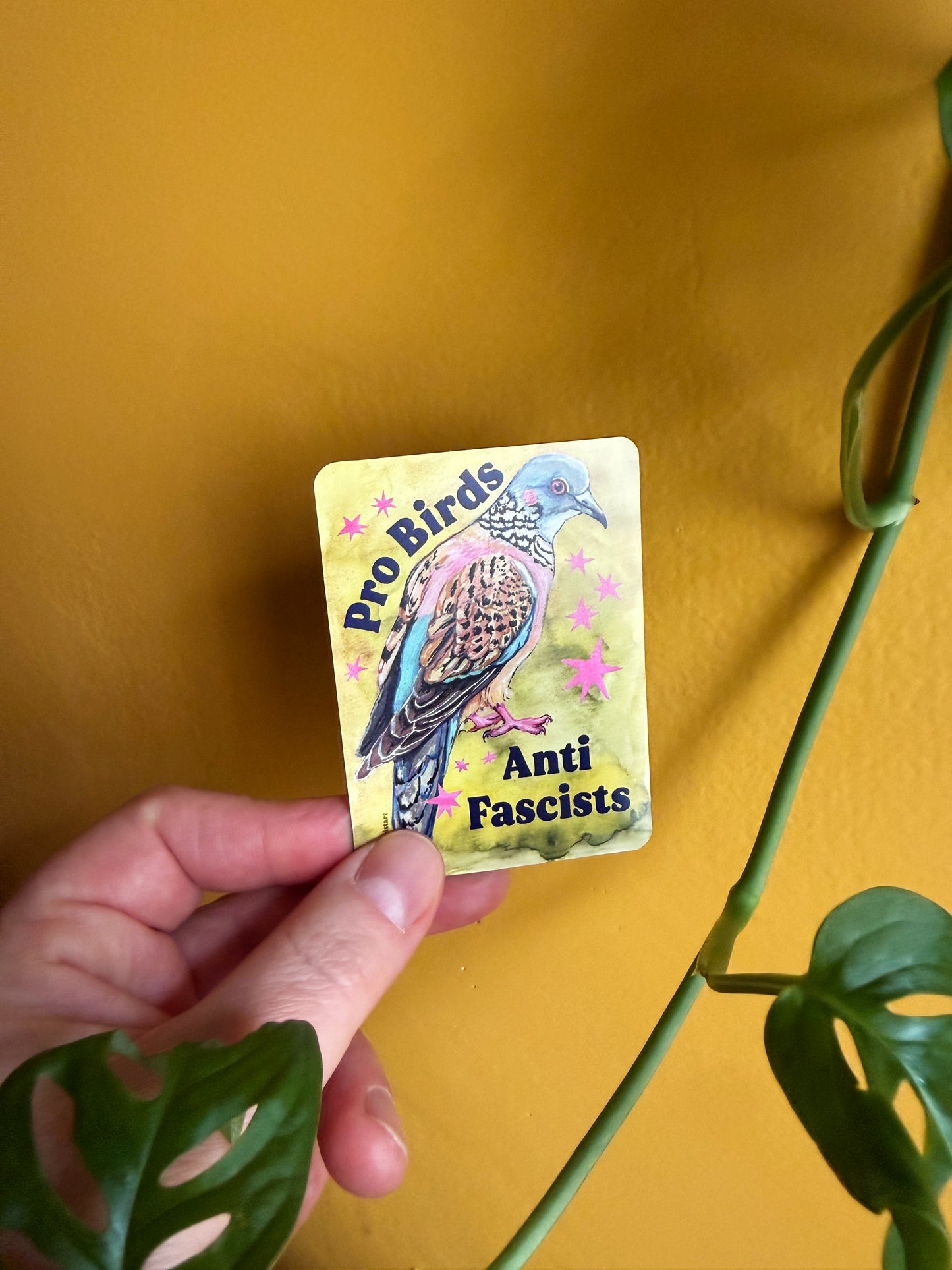 Pro Birds Anti Fascists : Feminist Magnet