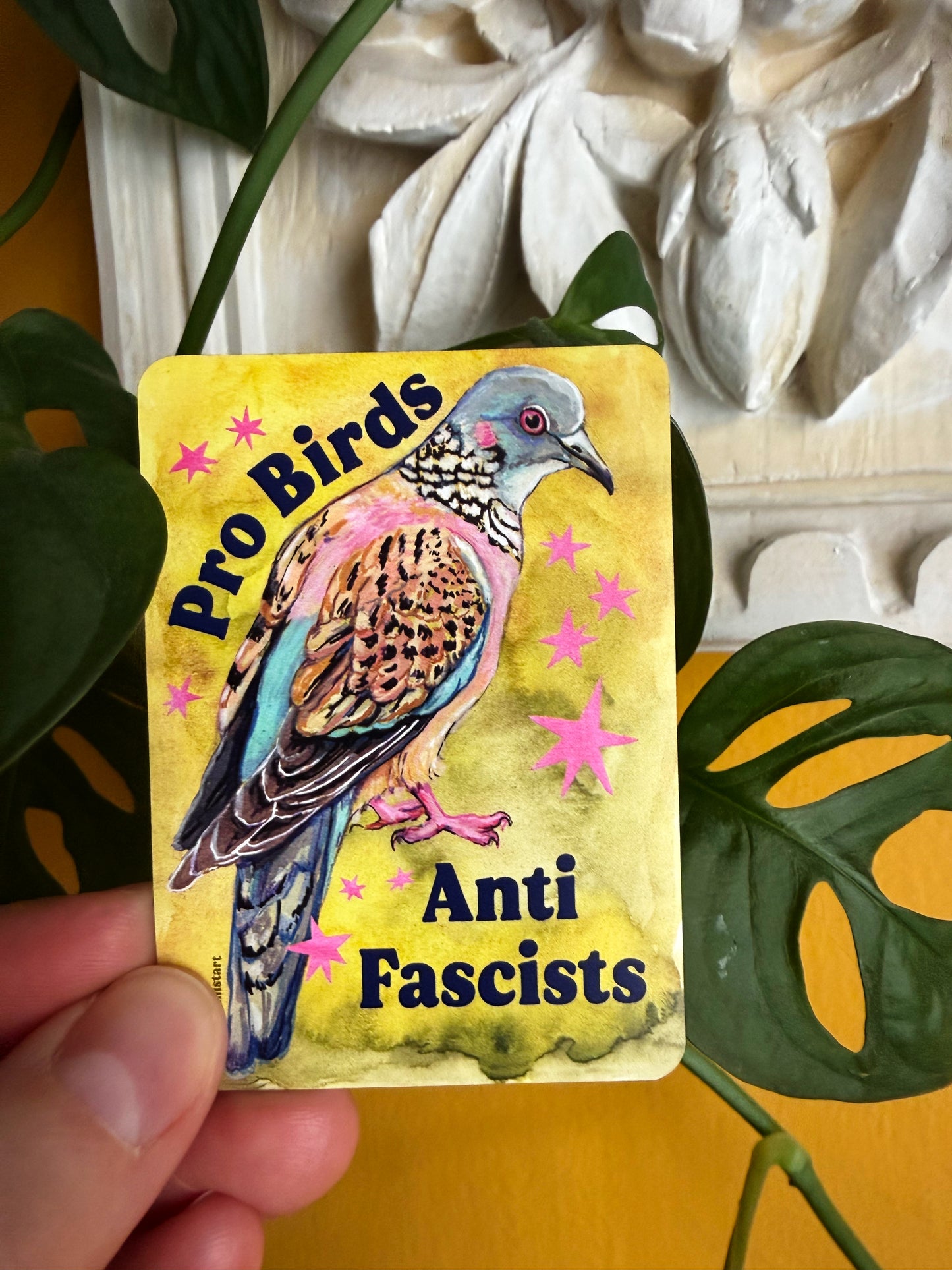 Pro Birds Anti Fascists : Feminist Magnet