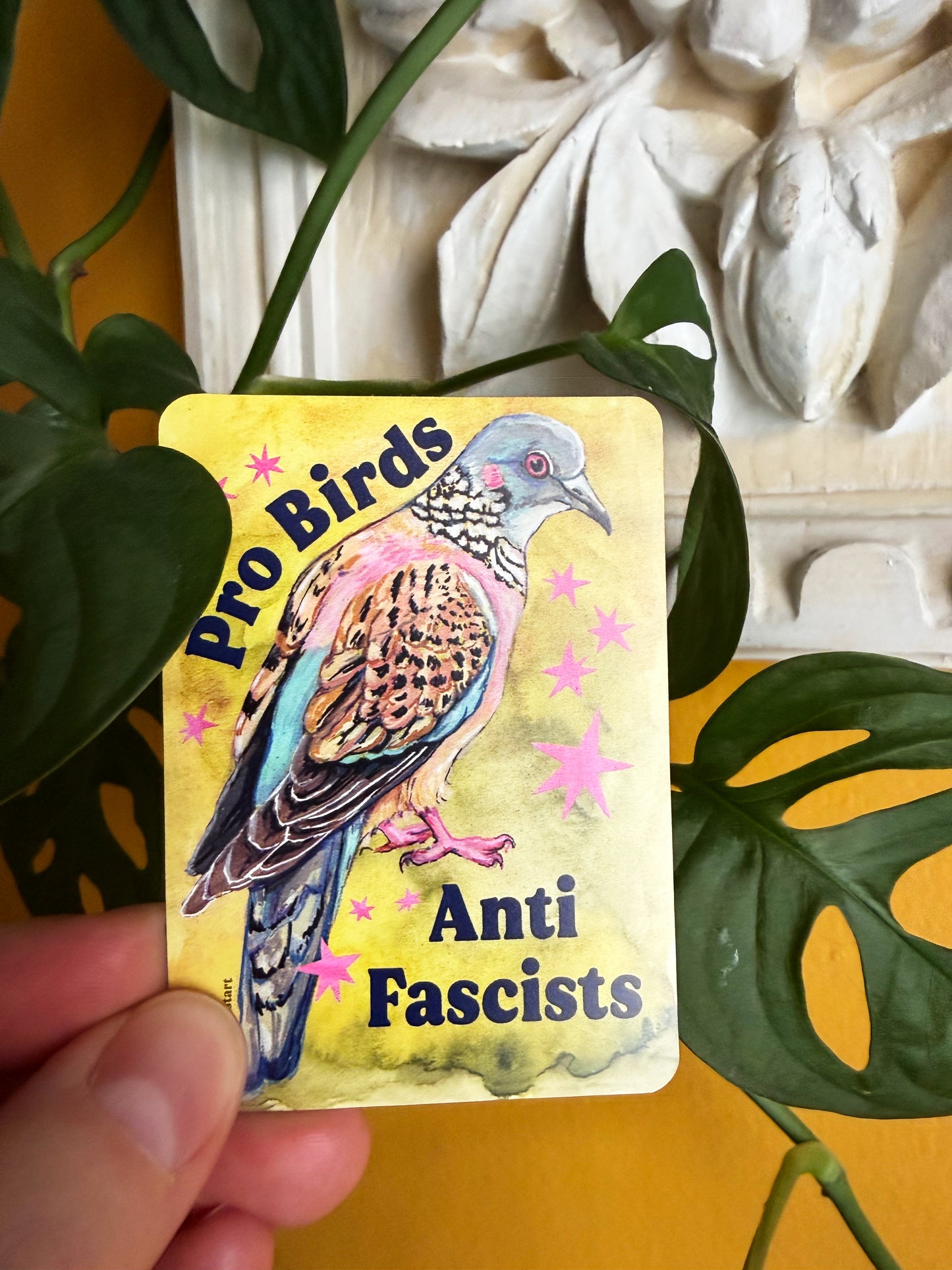 Pro Birds Anti Fascists : Feminist Magnet