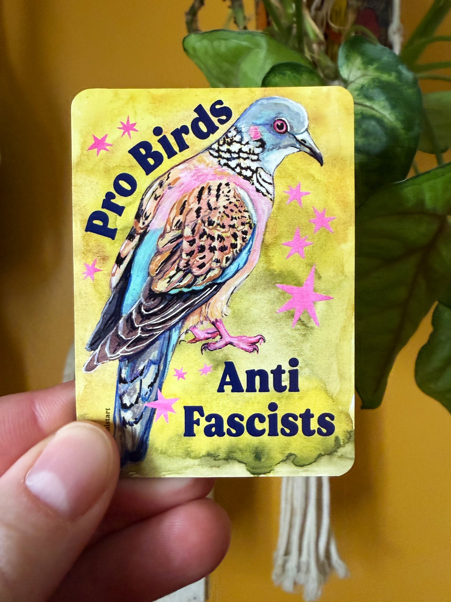 Pro Birds Anti Fascists : Feminist Magnet