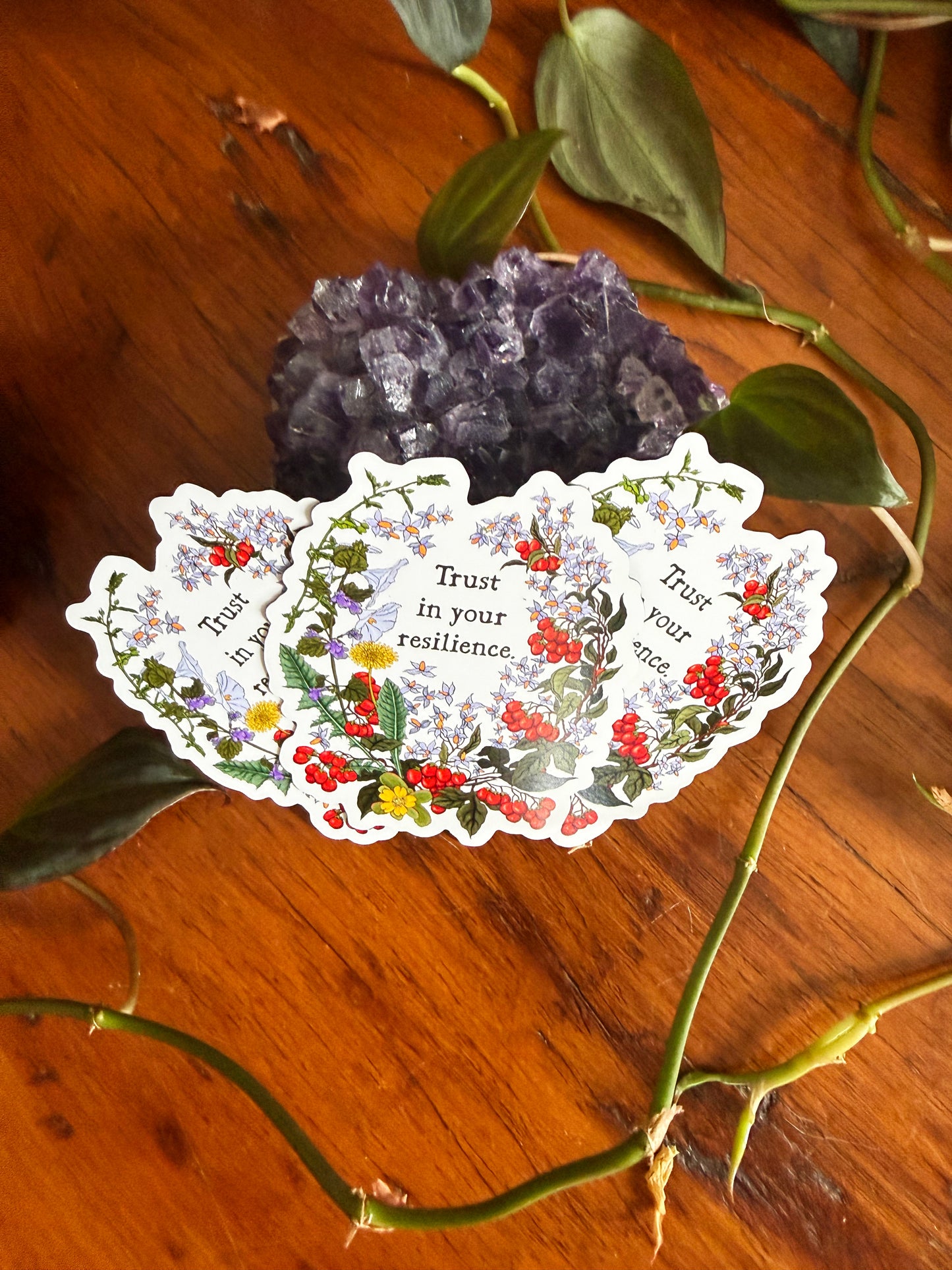 Trust In Your Resilience: Feminist Magnet
