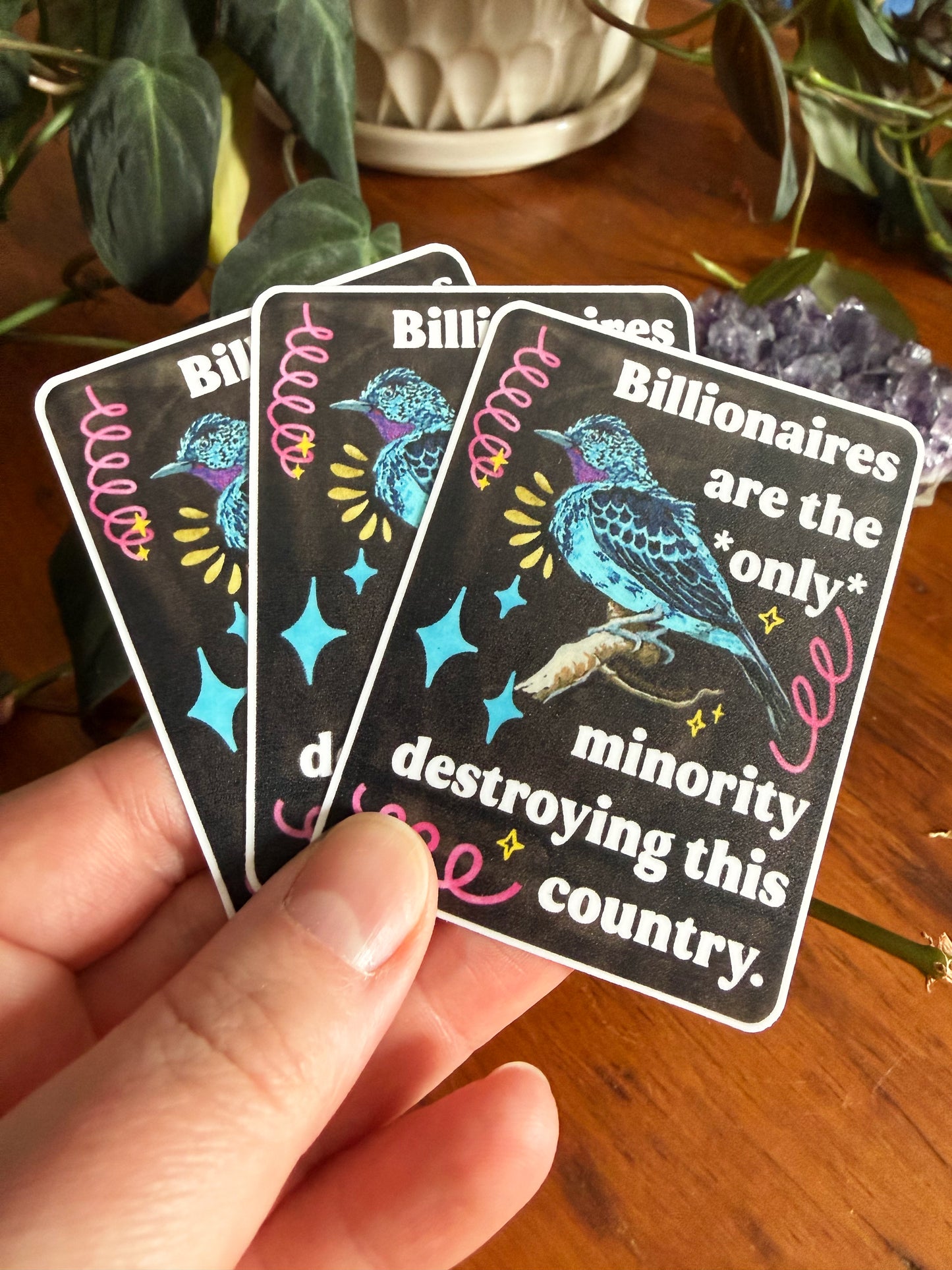 Billionaires are the *only* minority destroying this country: feminist sticker